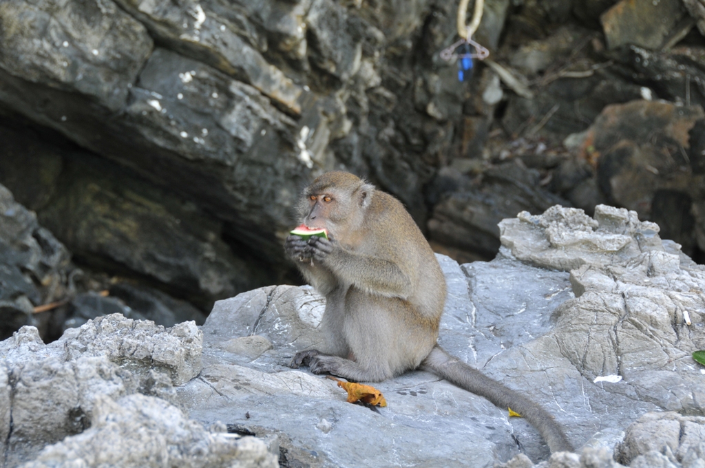 DSC_8019.JPG