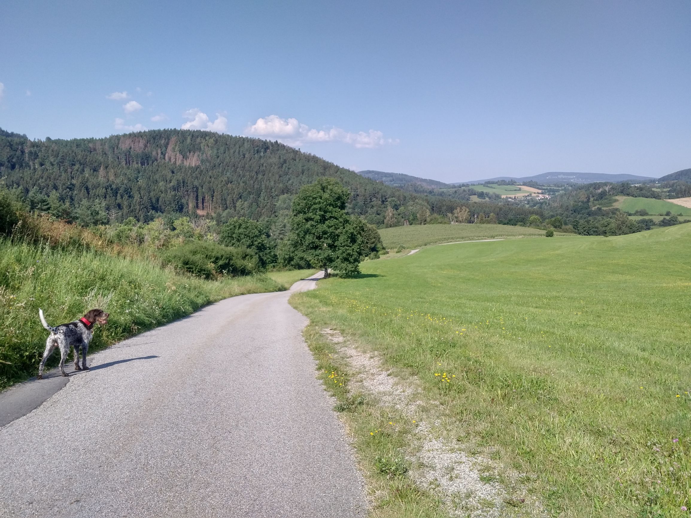 G_200808_1000590.jpg