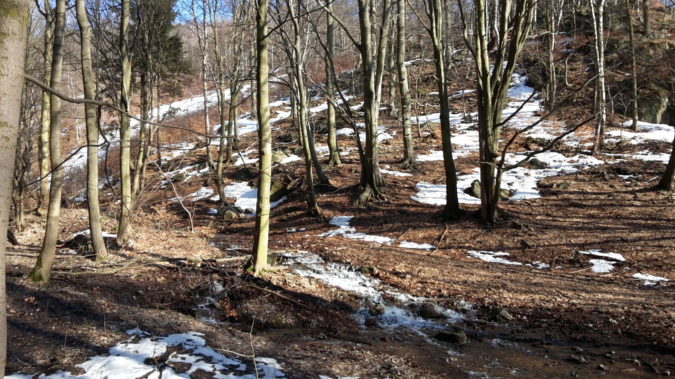 210228_144444.jpg