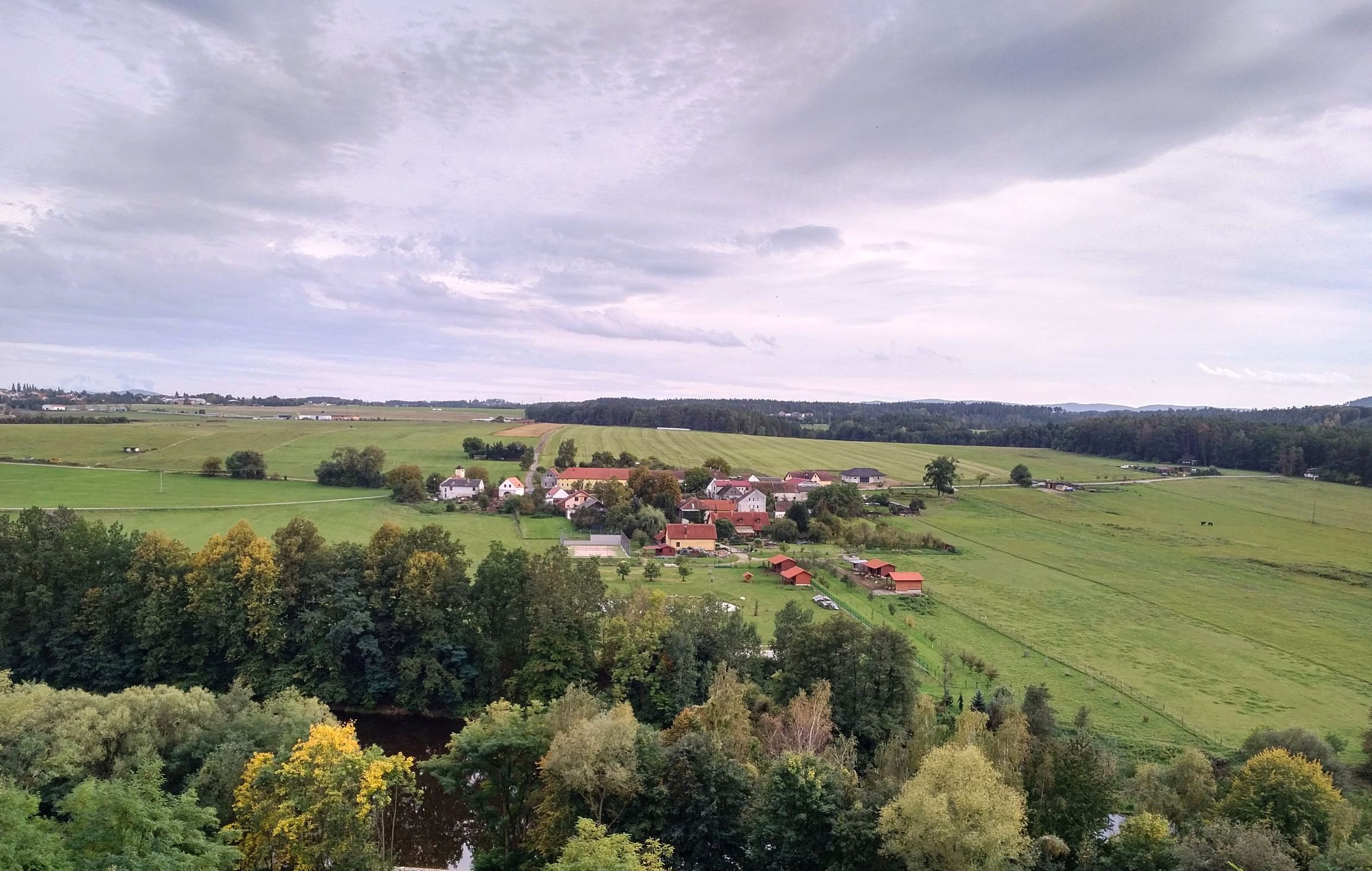 20190927_1653439.jpg