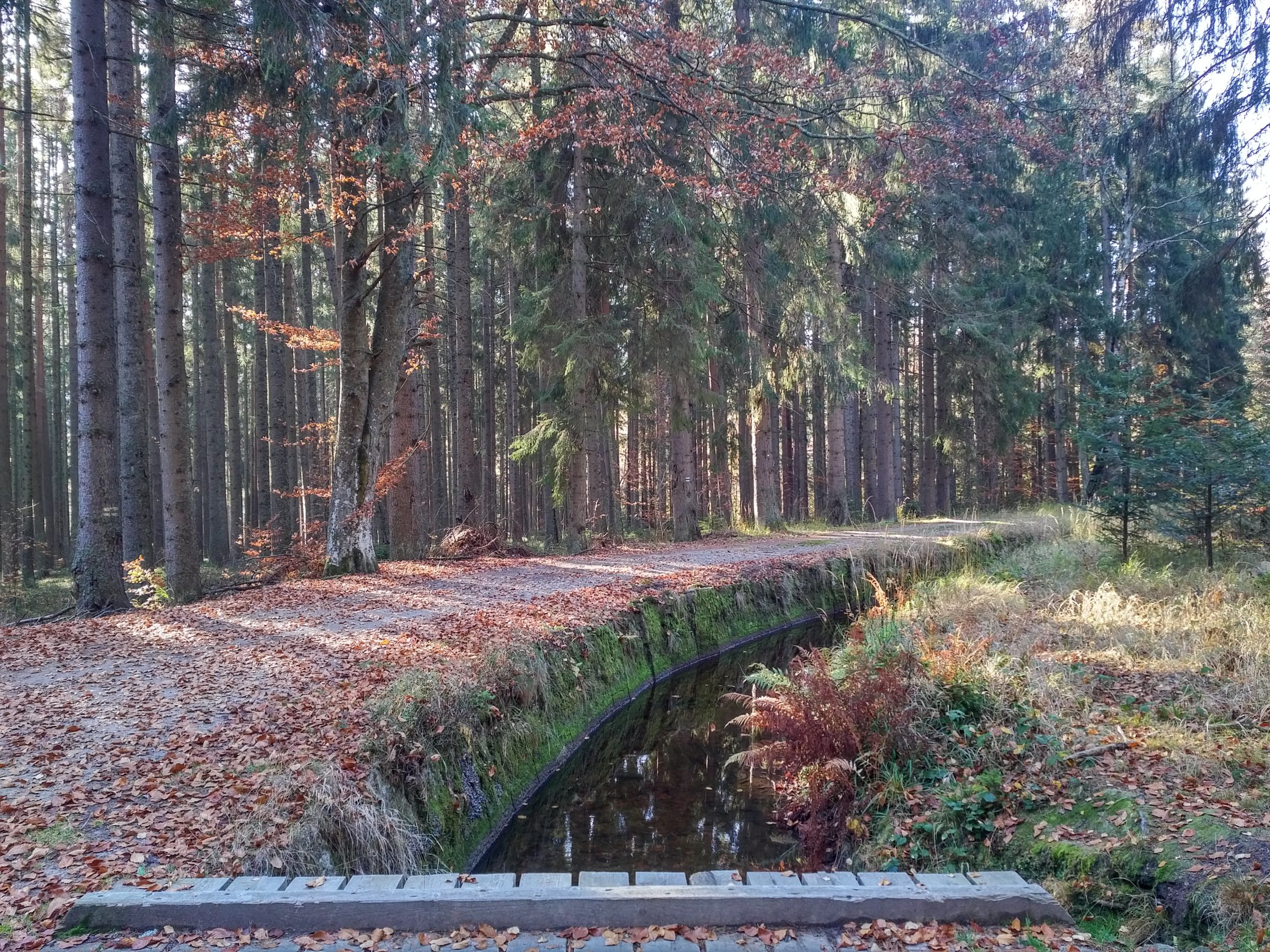 191026_1028123.jpg