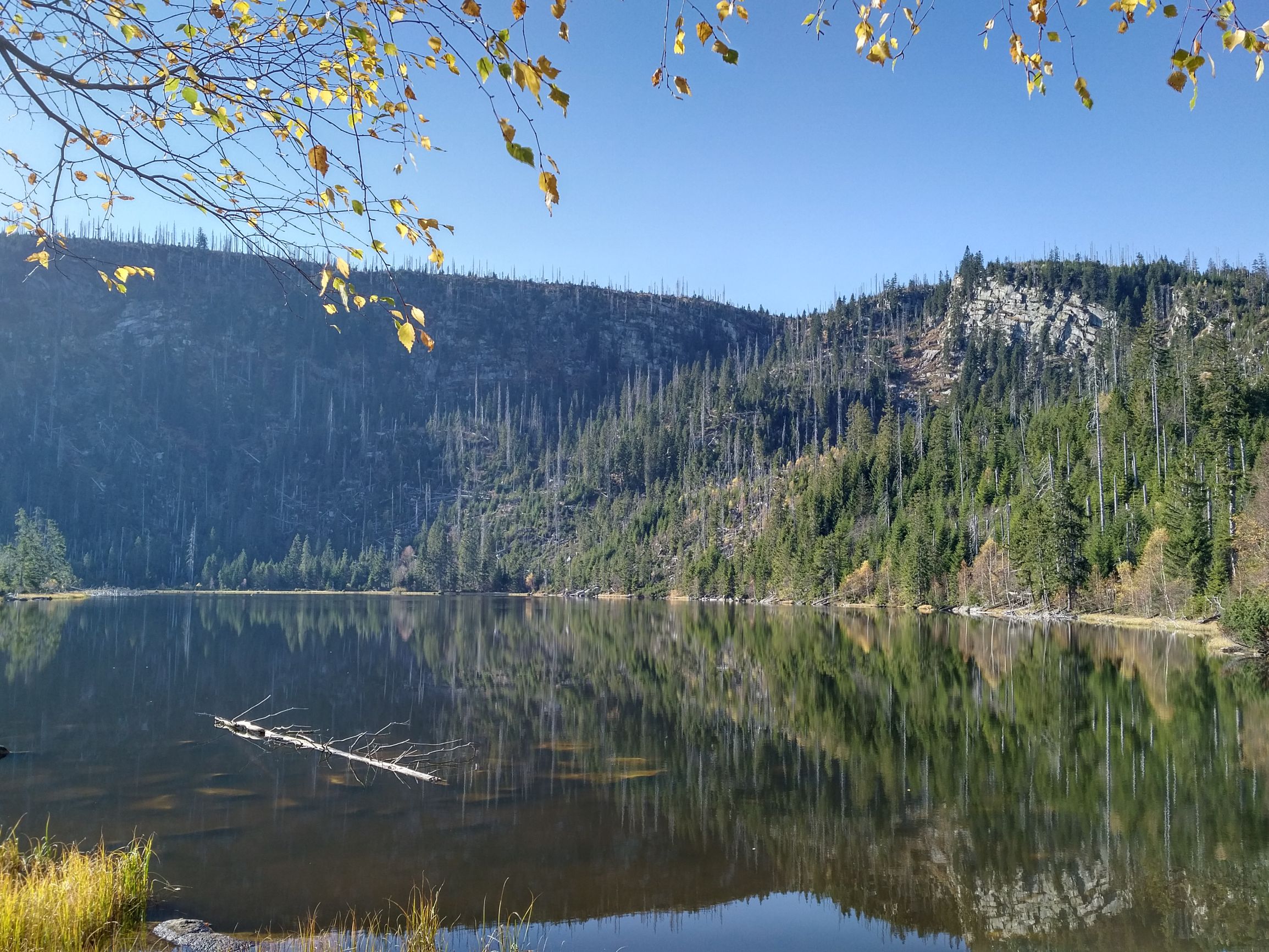 191026_1258295.jpg