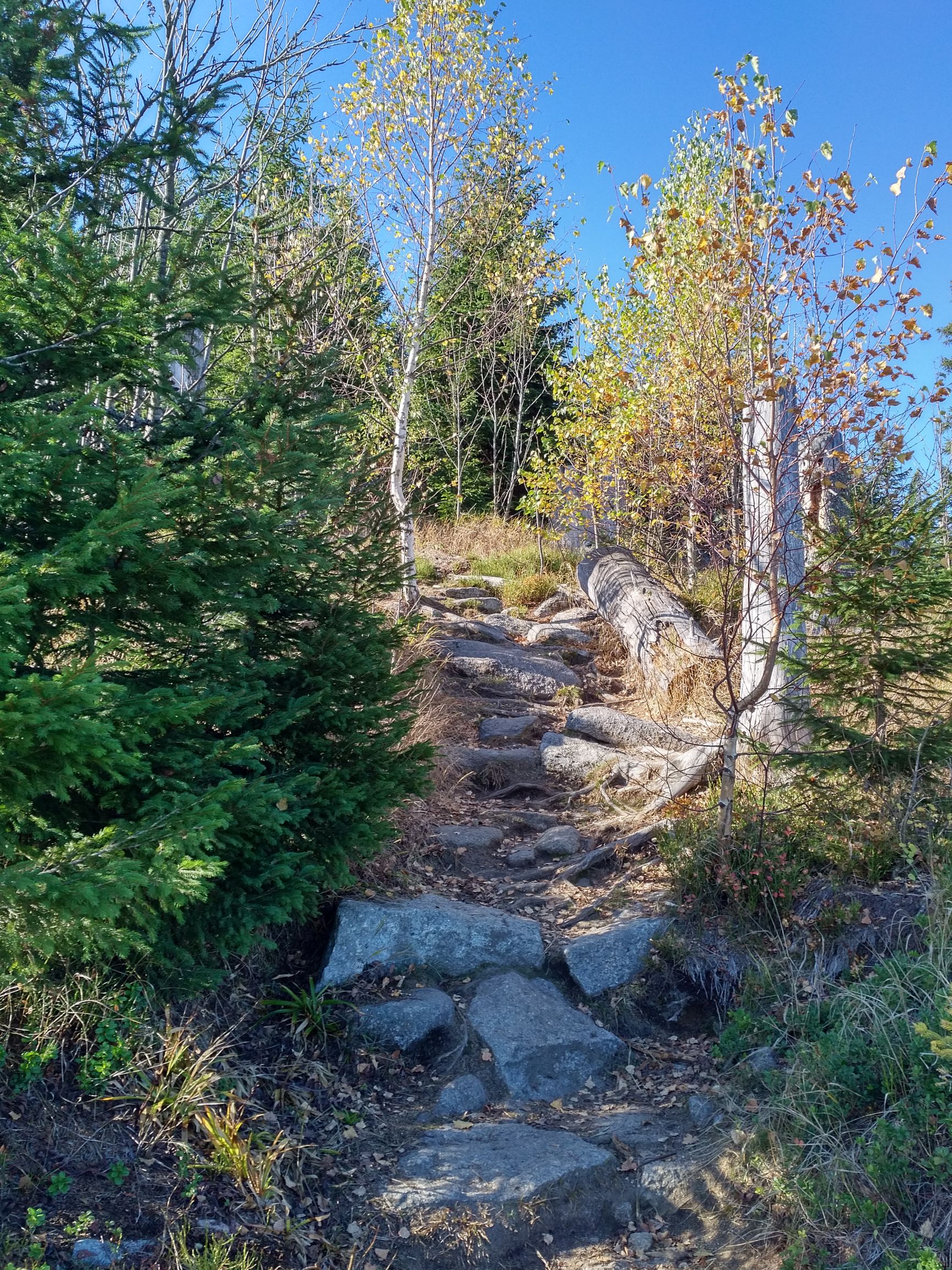 191026_1334431.jpg