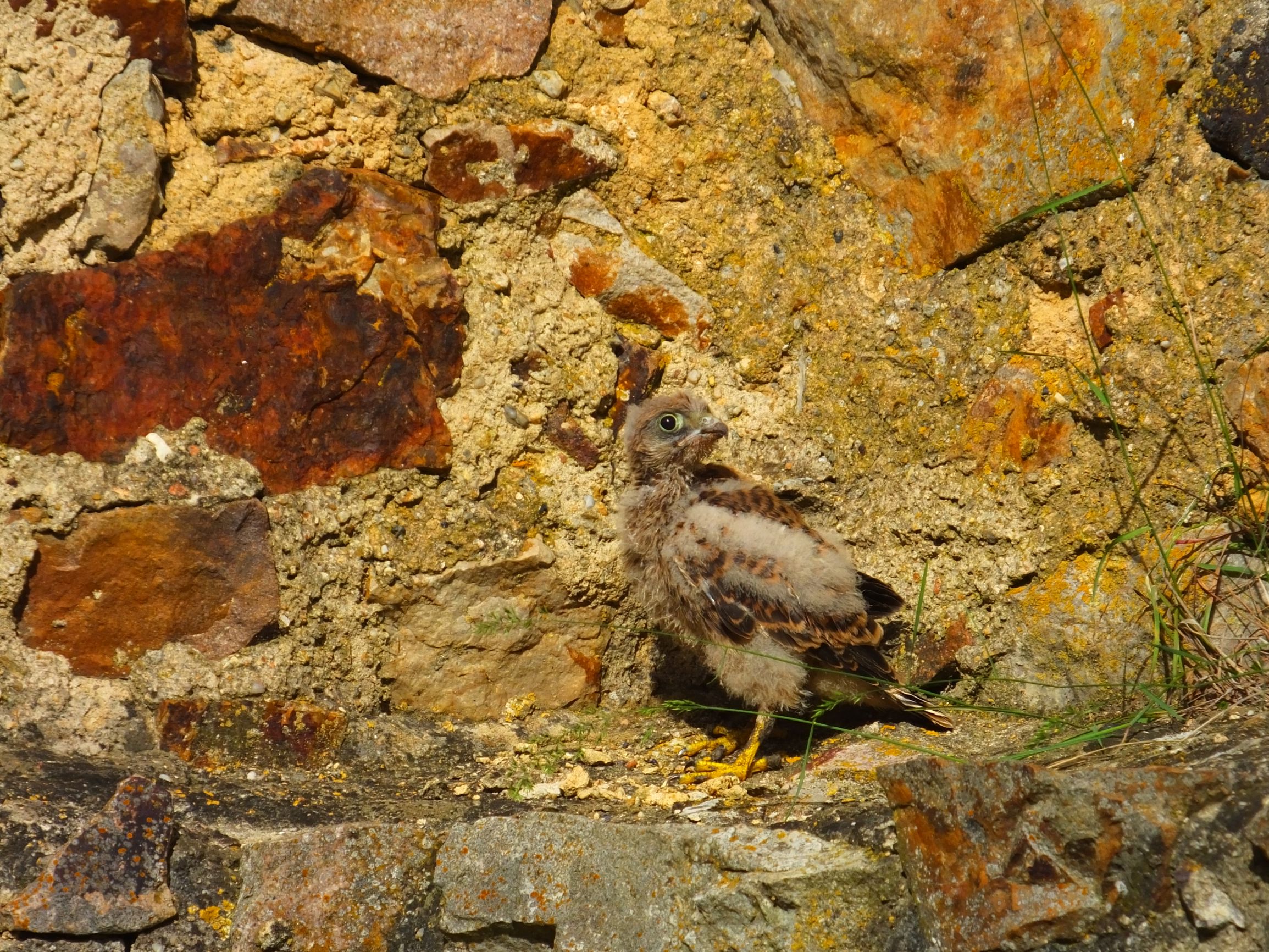 DSCF6789.JPG