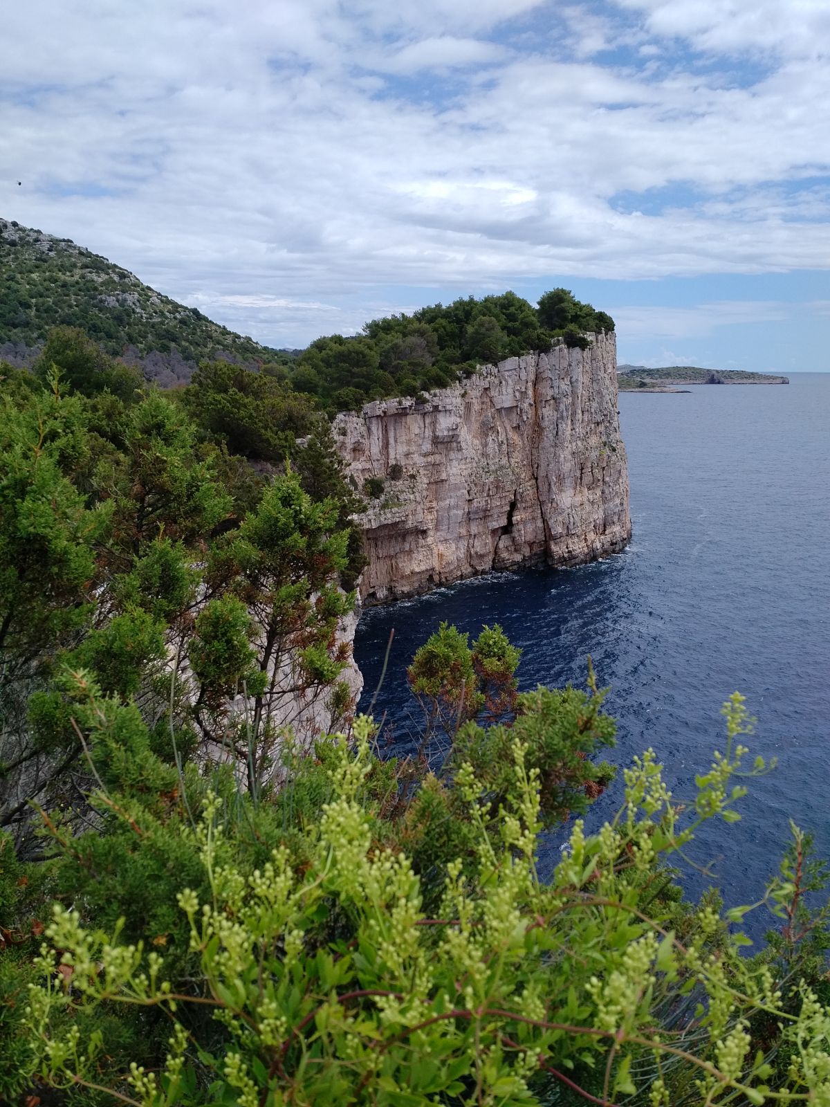 20190530_1319135.jpg
