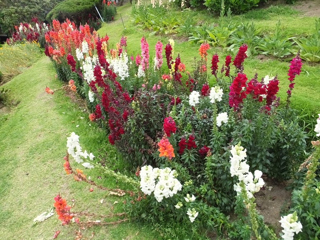DSCF2866.JPG