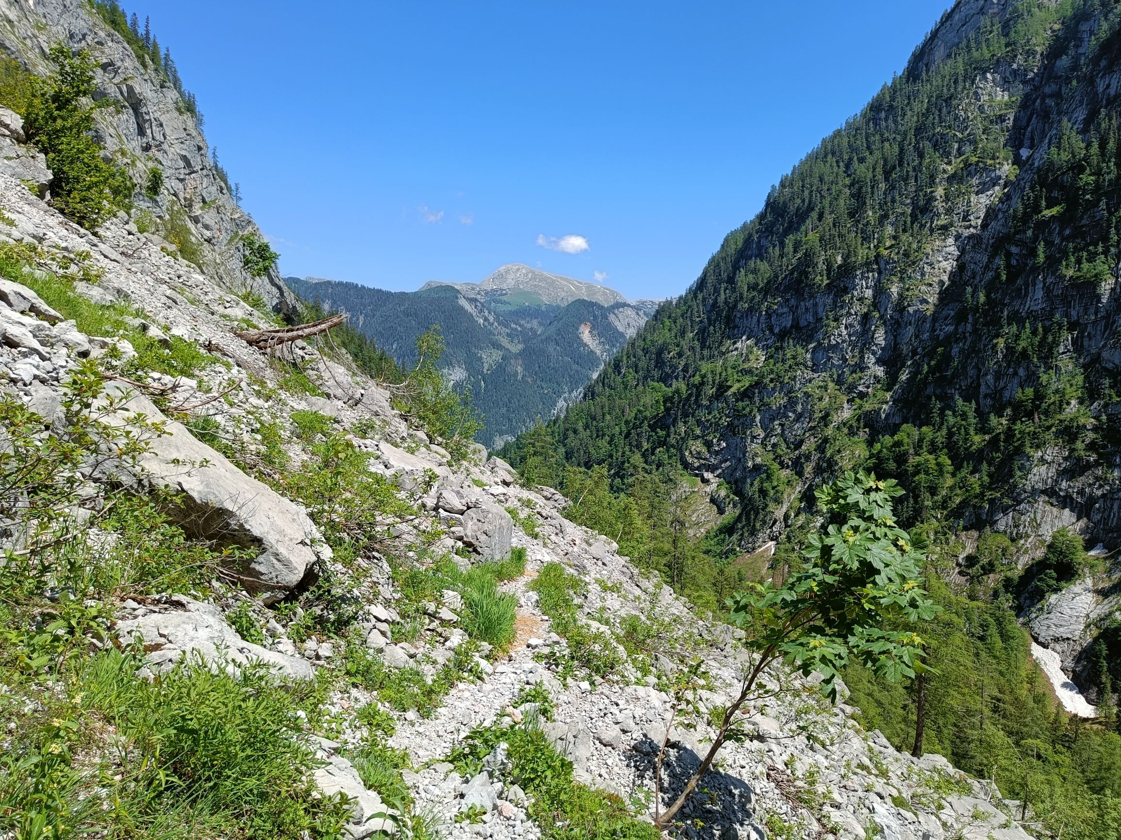 220604-142343.jpg