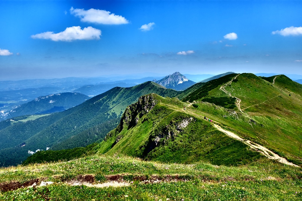 IMG_3438.JPG