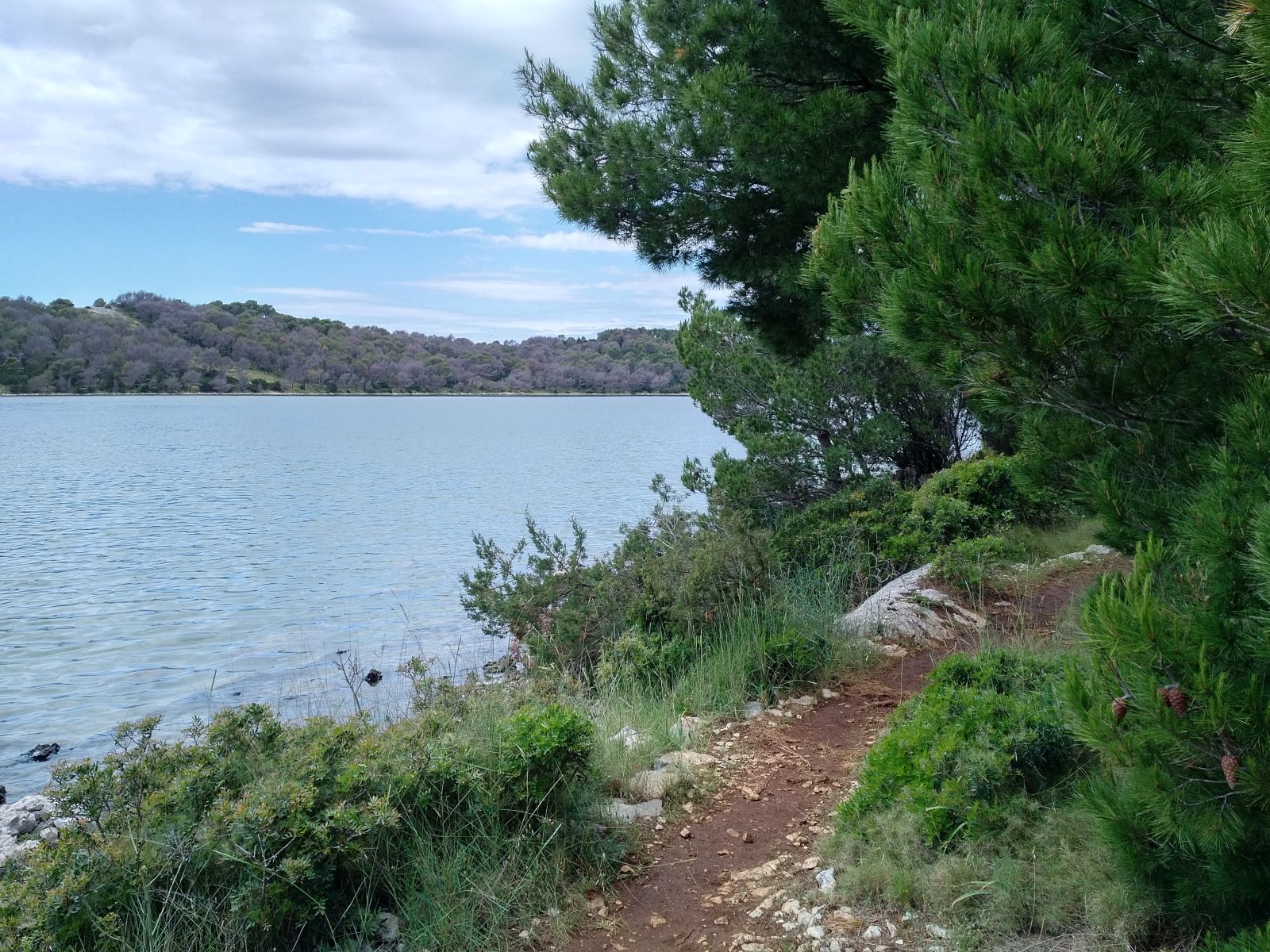 20190530_1405389.jpg