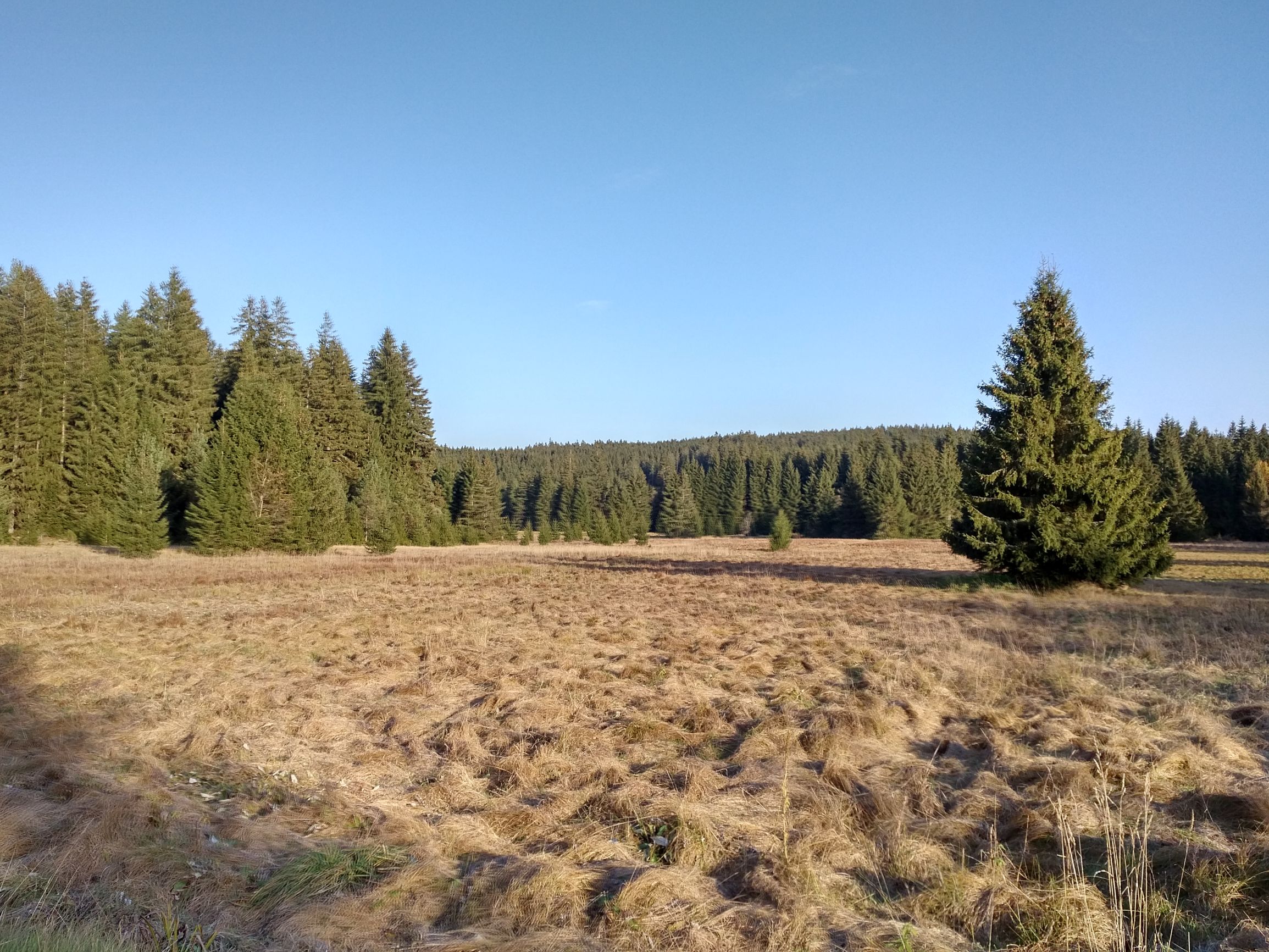 191027_1520513.jpg