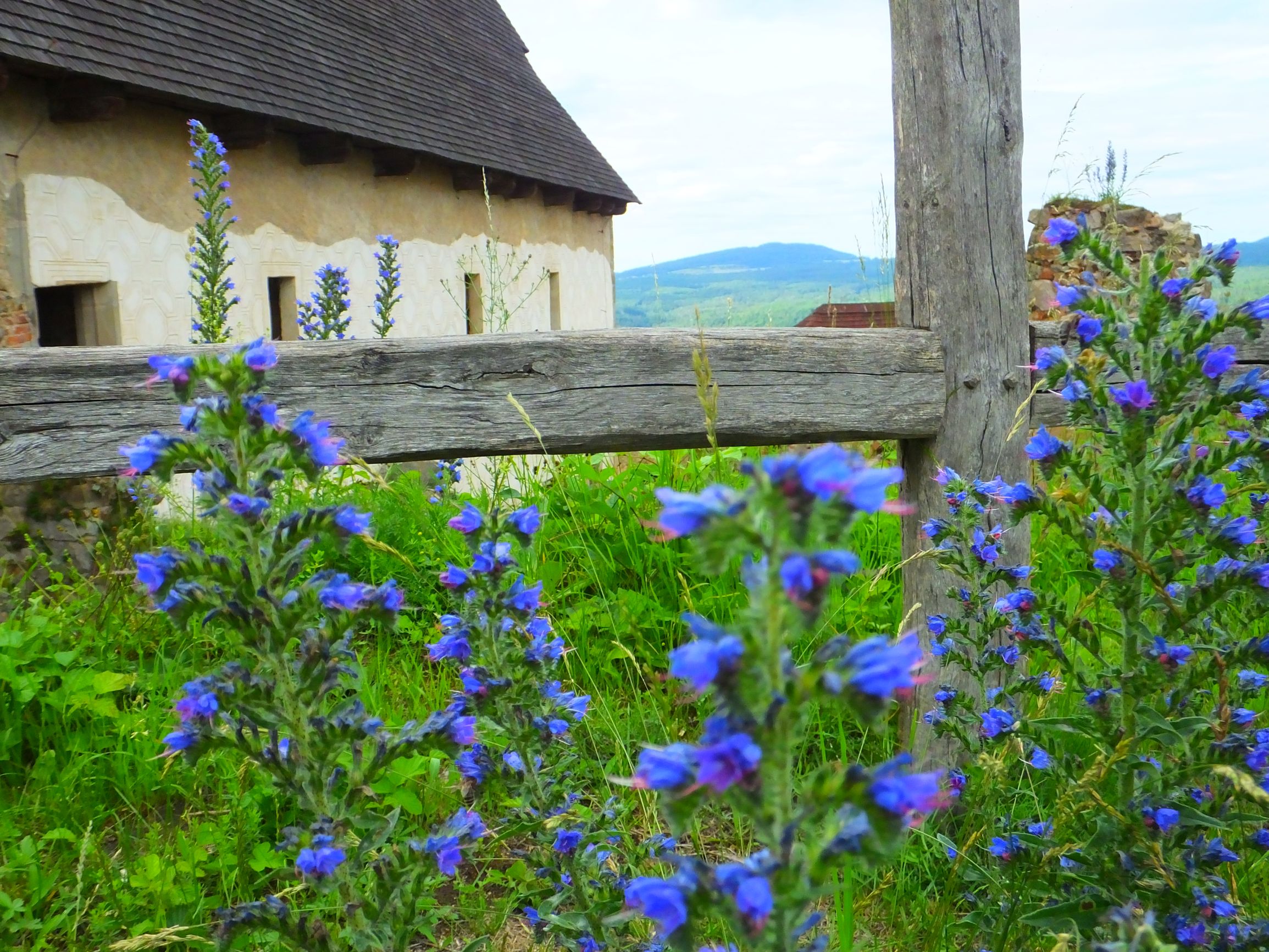DSCF6778.JPG