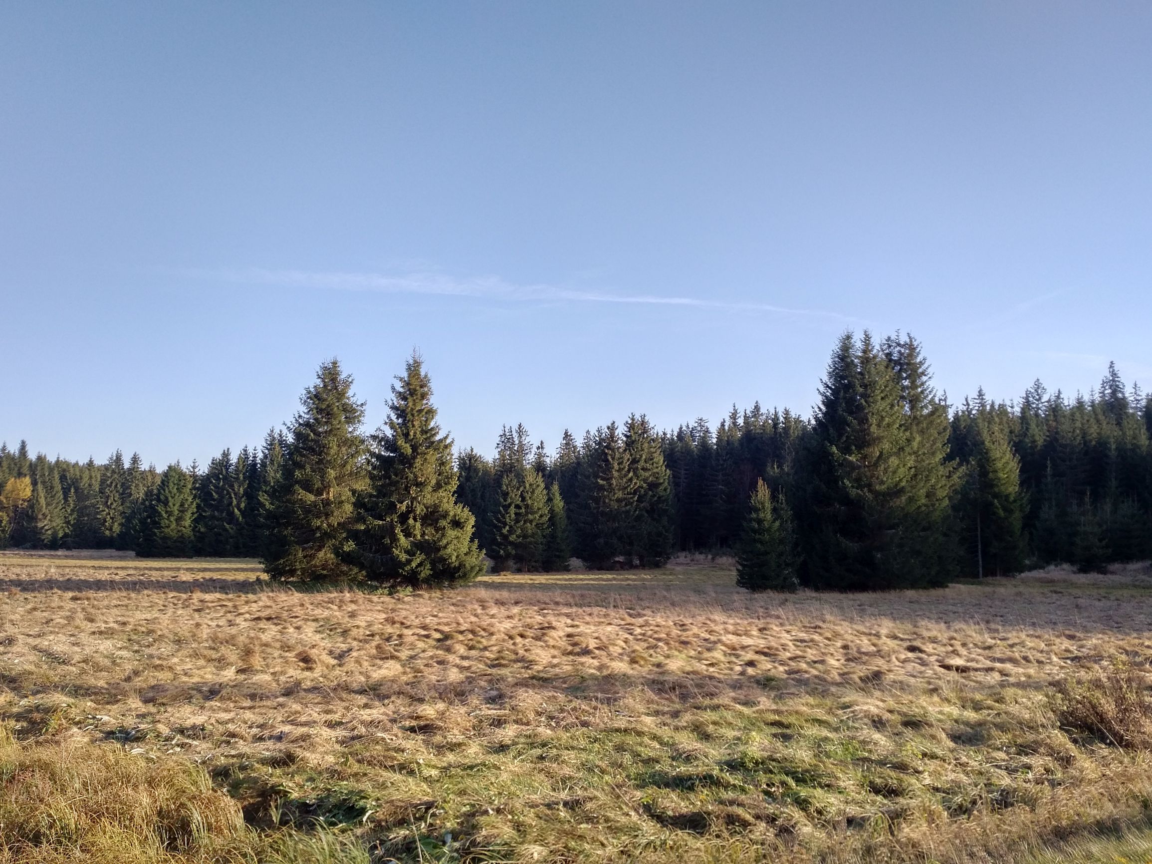 191027_1521199.jpg
