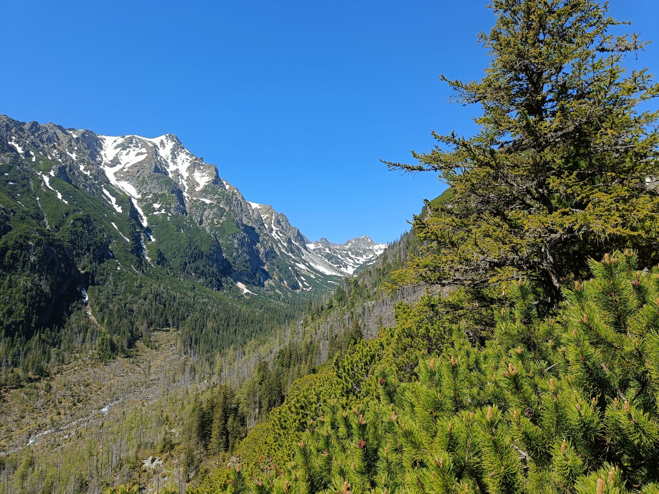 240509-110933.jpg