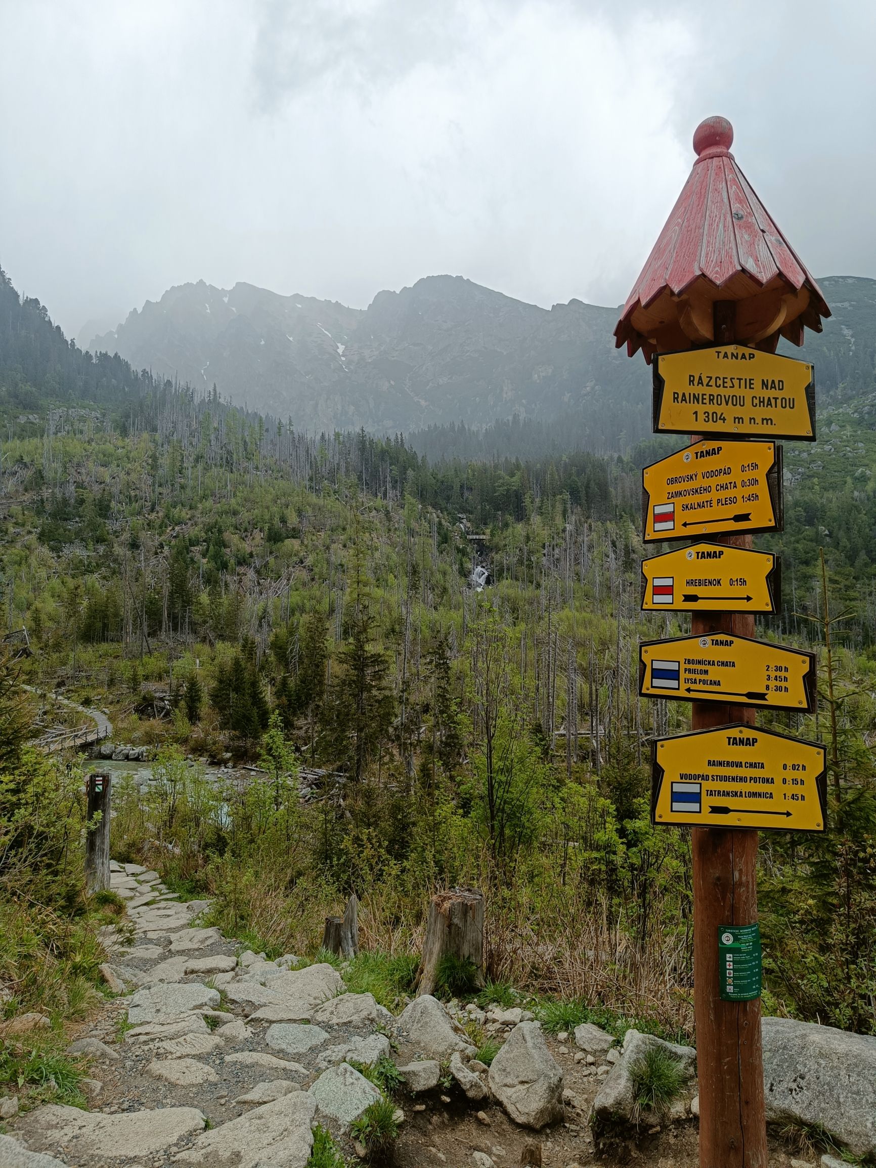 240511-172233.jpg
