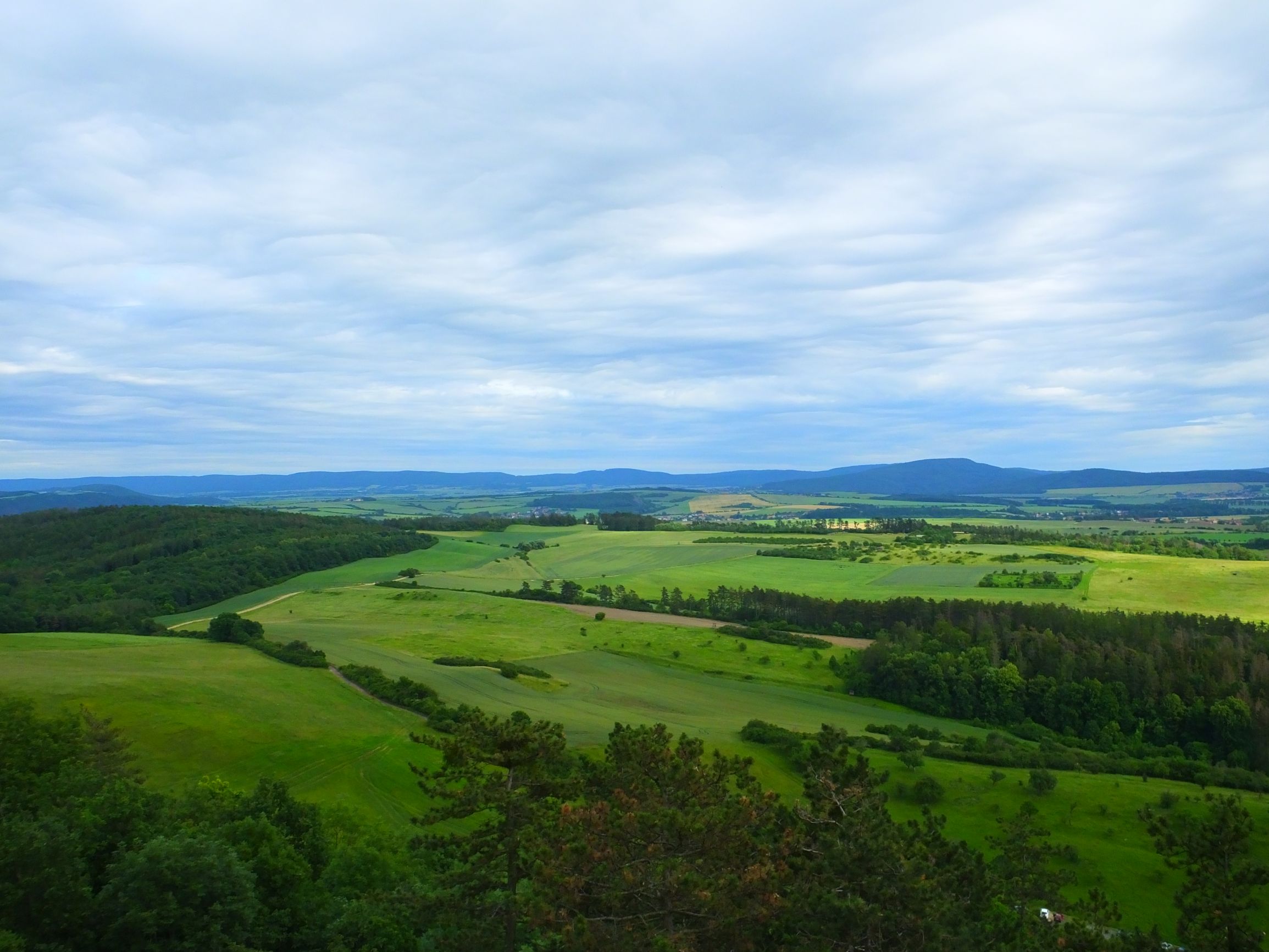 DSCF6766.JPG