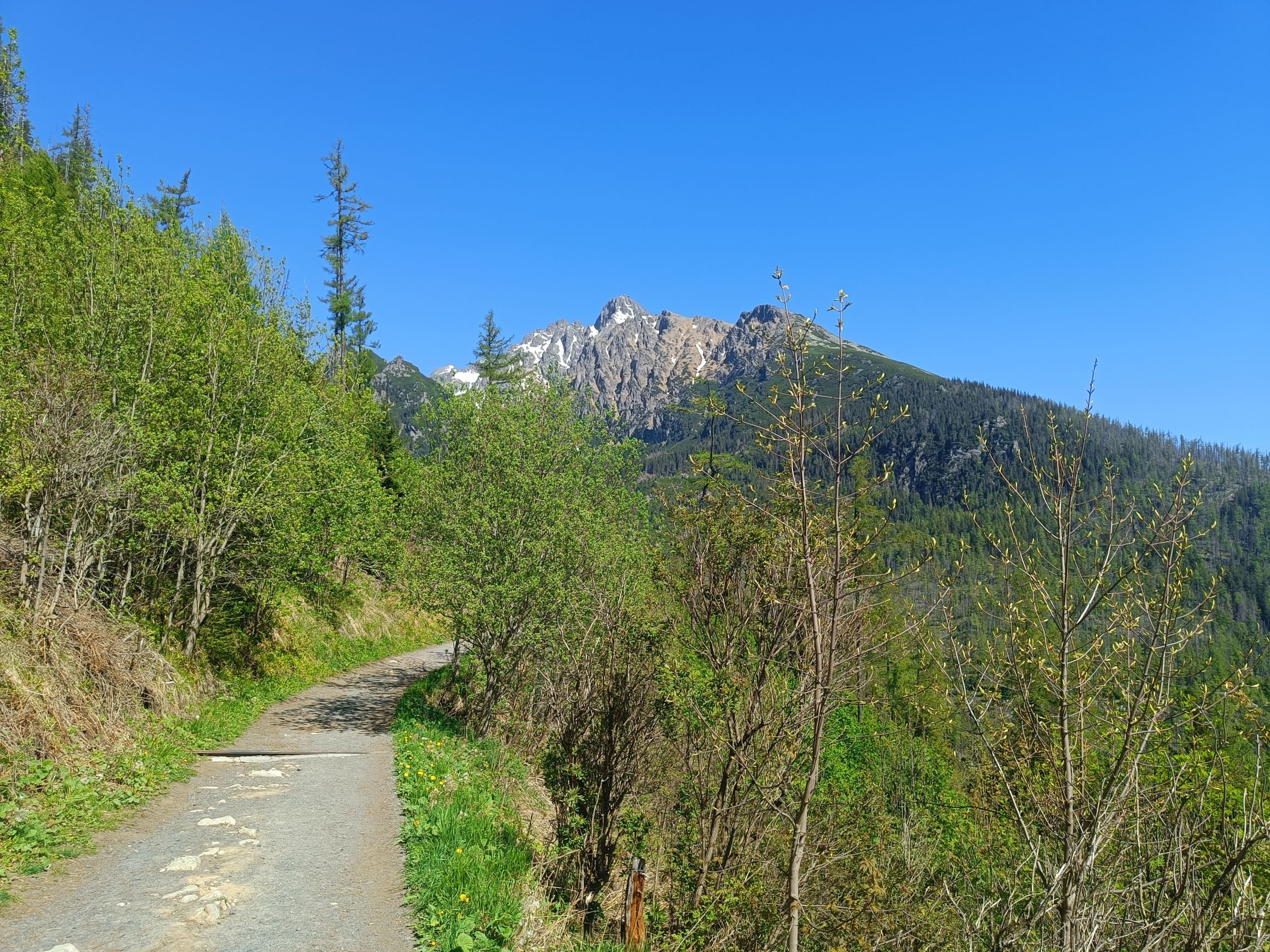 240509-102326.jpg