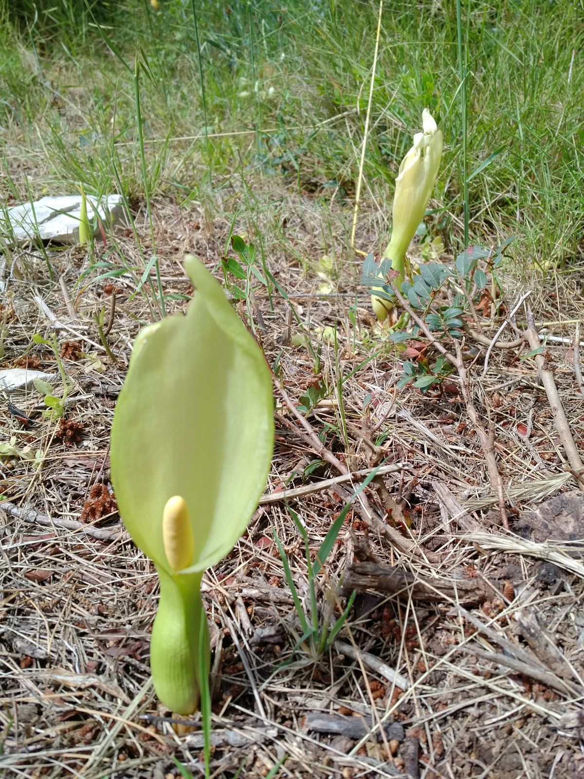 20190530_1445294.jpg