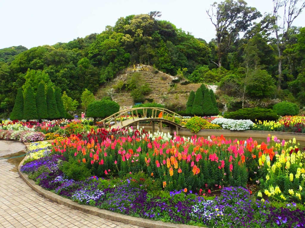 DSCF2896.JPG