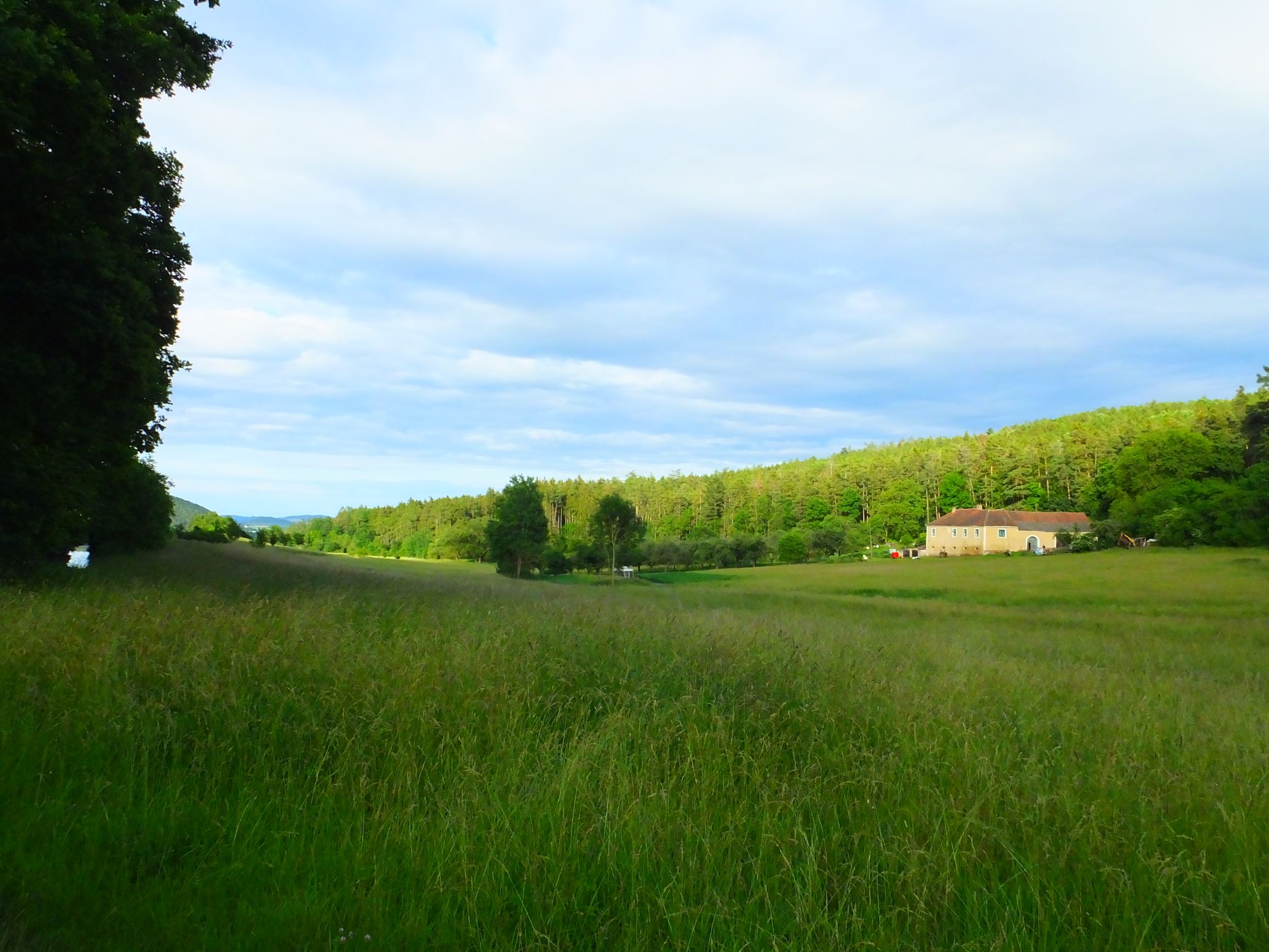 DSCF6839.JPG