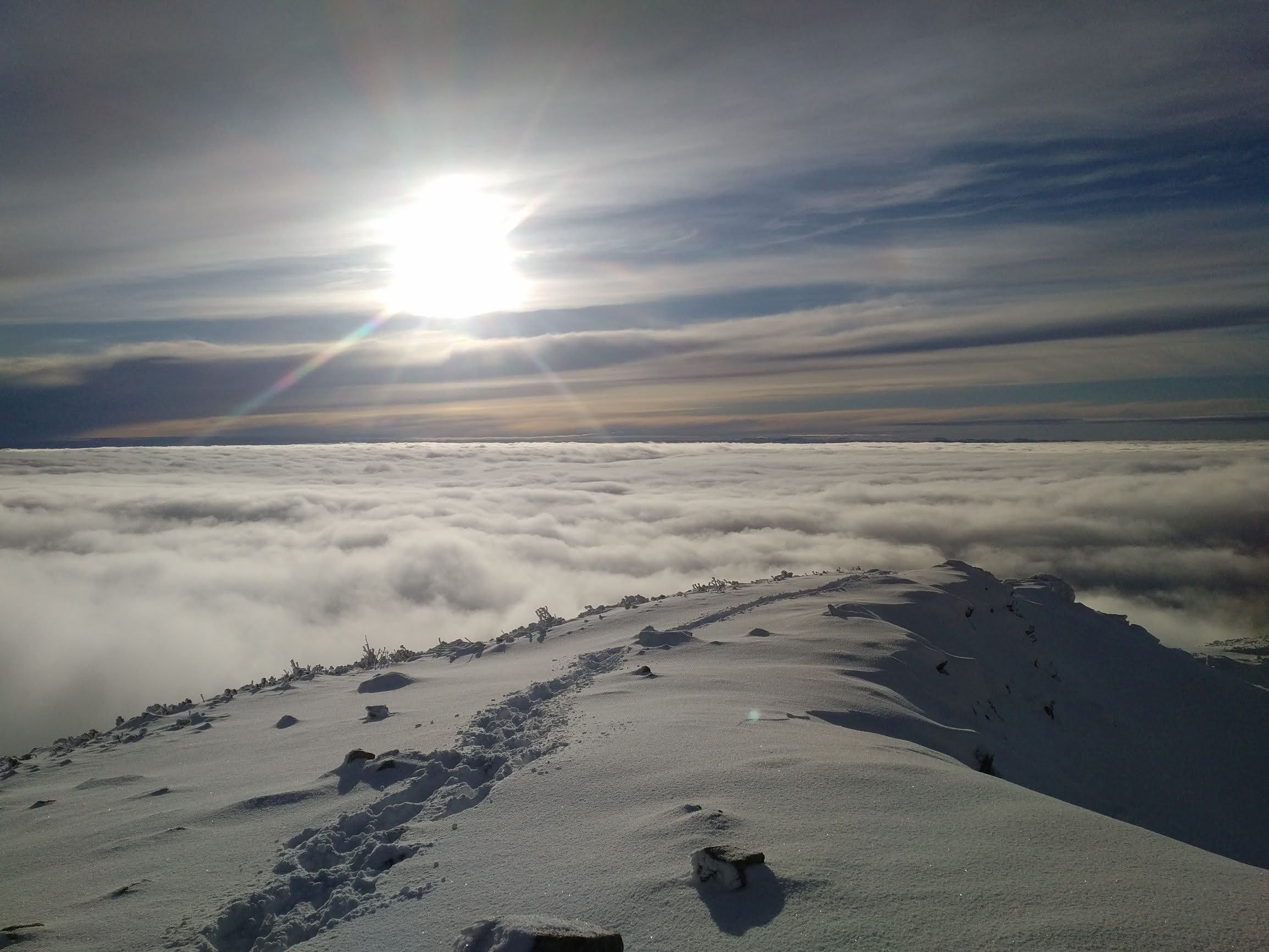 201231_143119.jpg