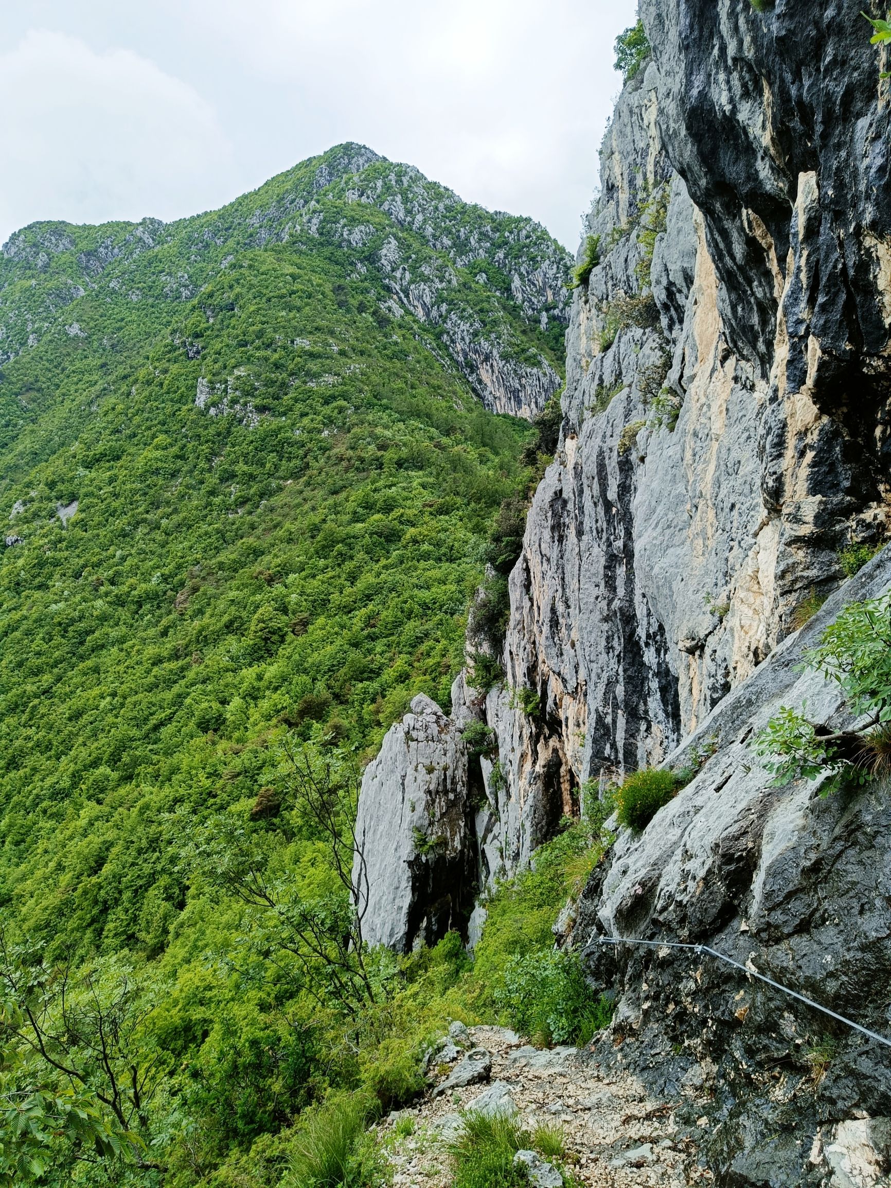 240531-130330.jpg