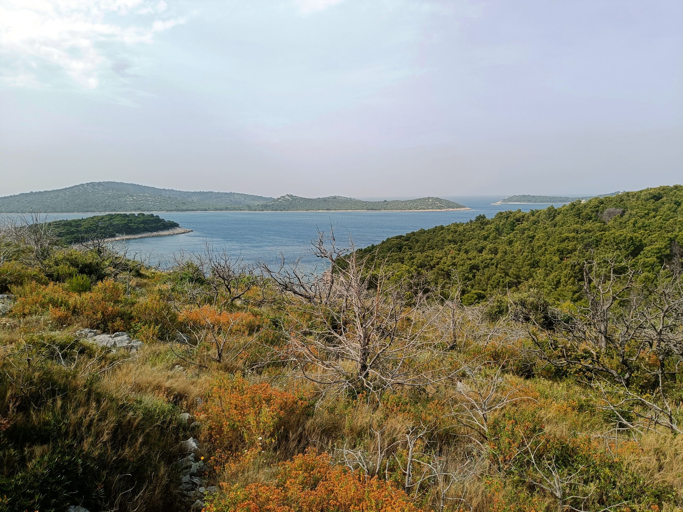 240521-090903.jpg