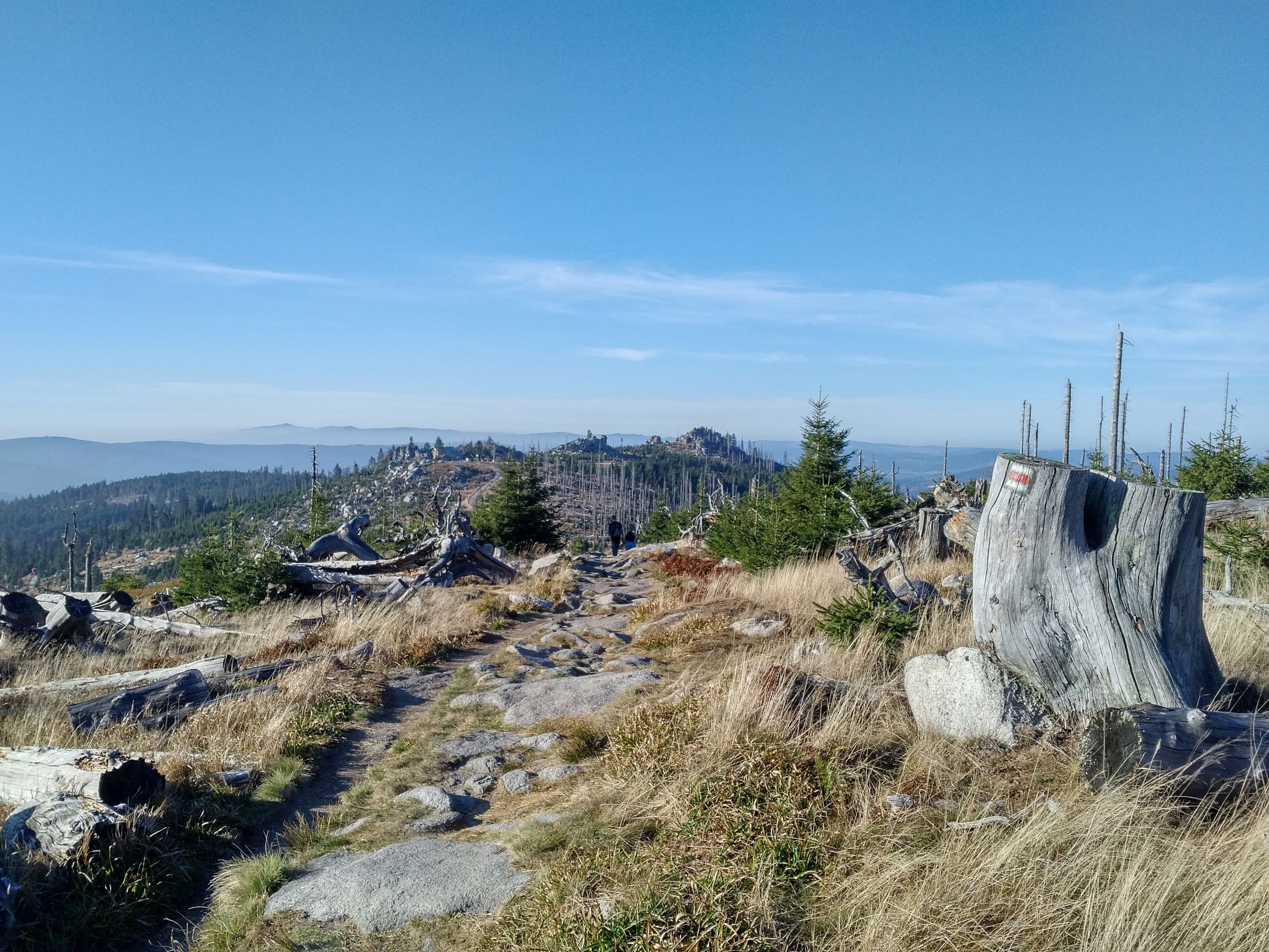 191026_1549294.jpg