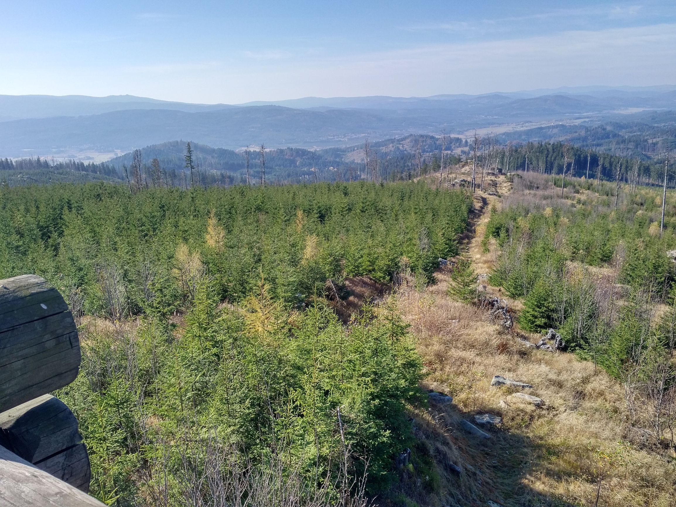 191027_1247443.jpg