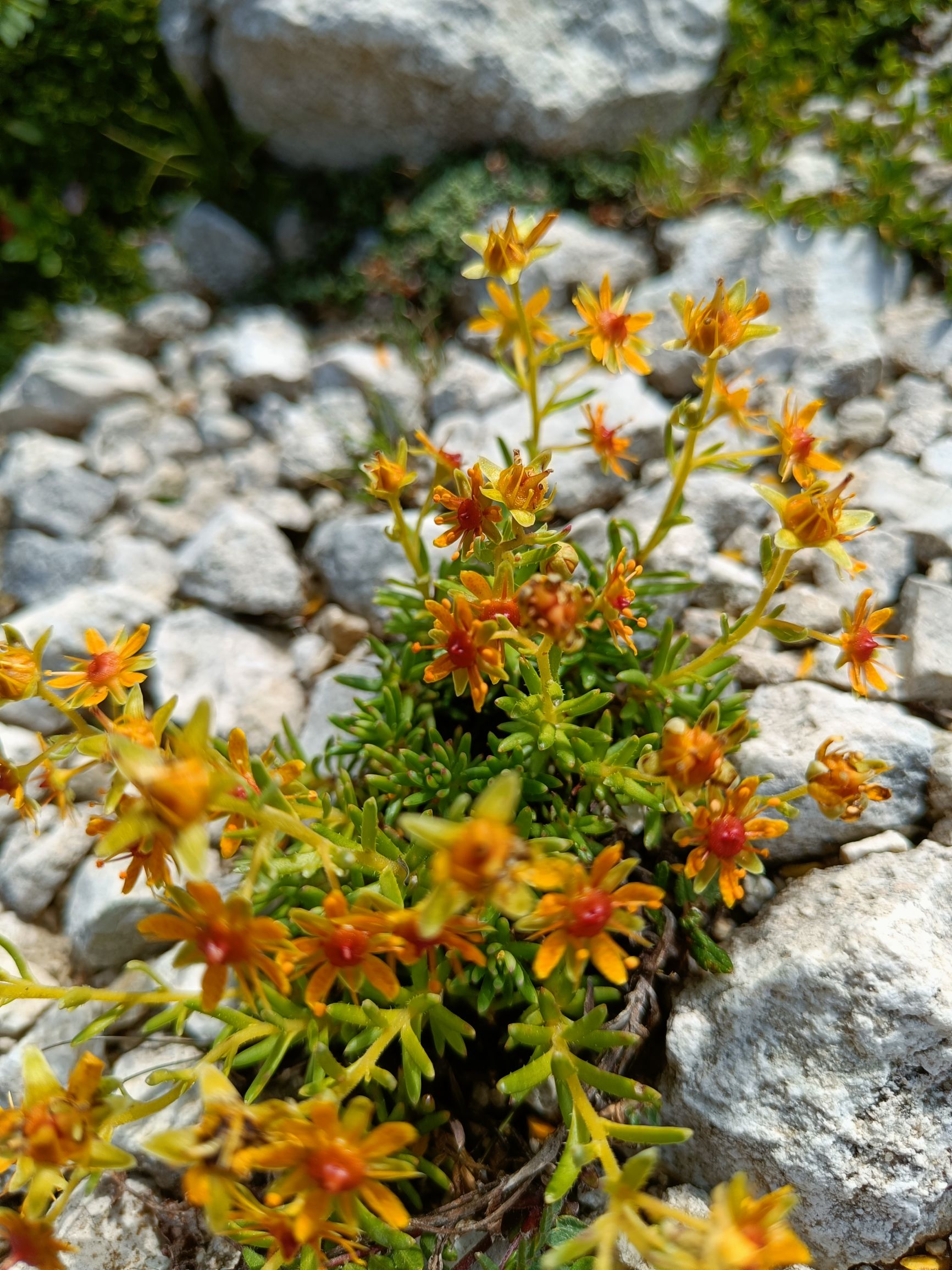 240807-111818.jpg