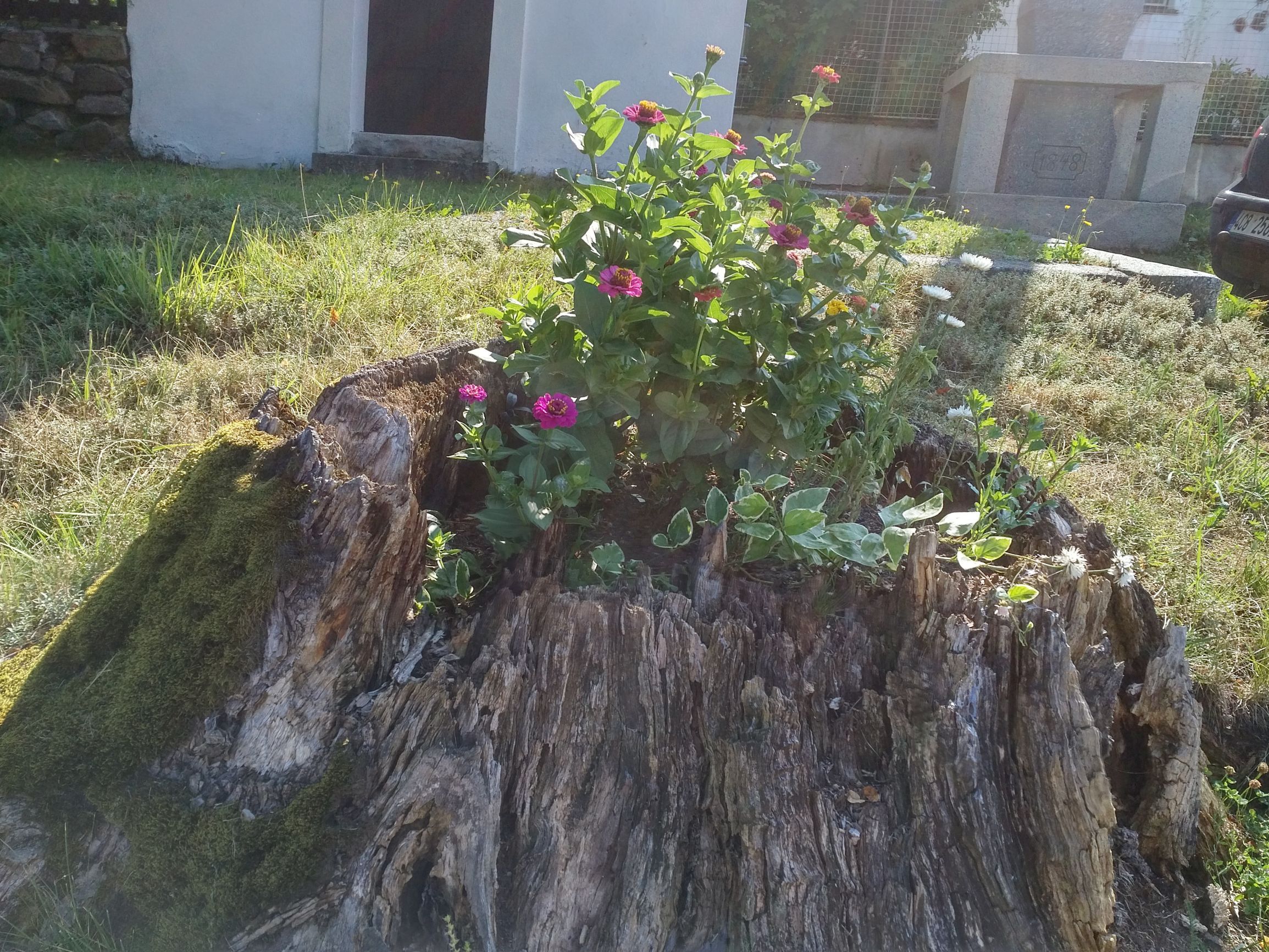 C_200808_1013271.jpg
