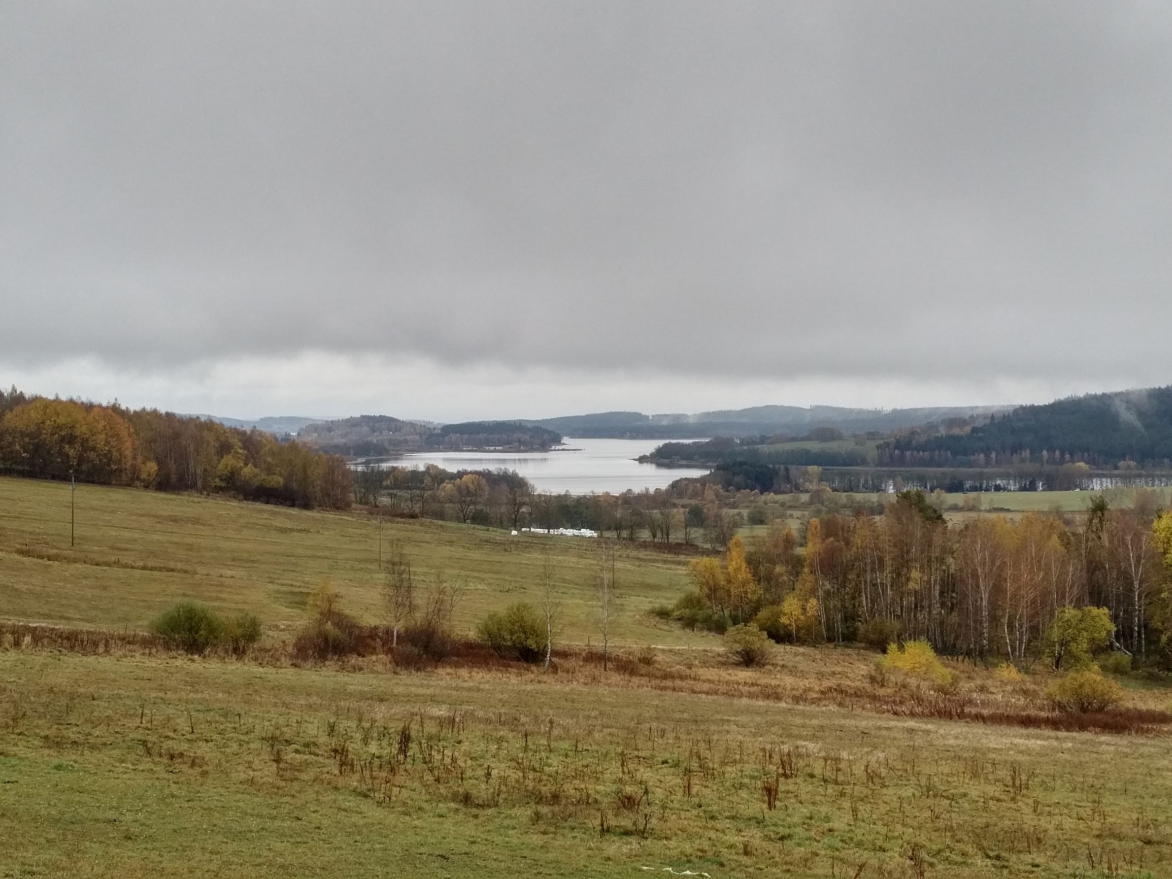 191028_1038088.jpg