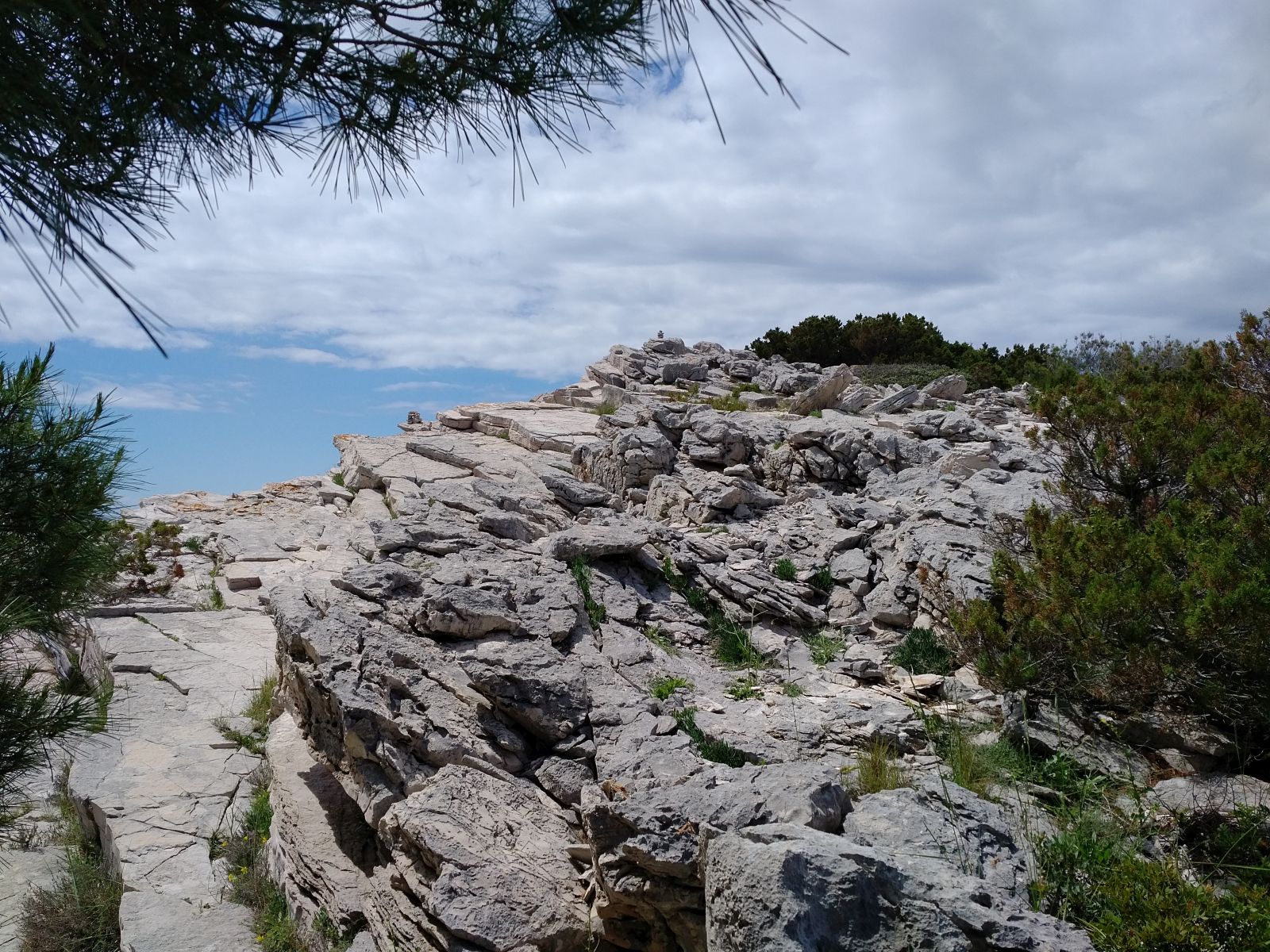 20190530_1345357.jpg