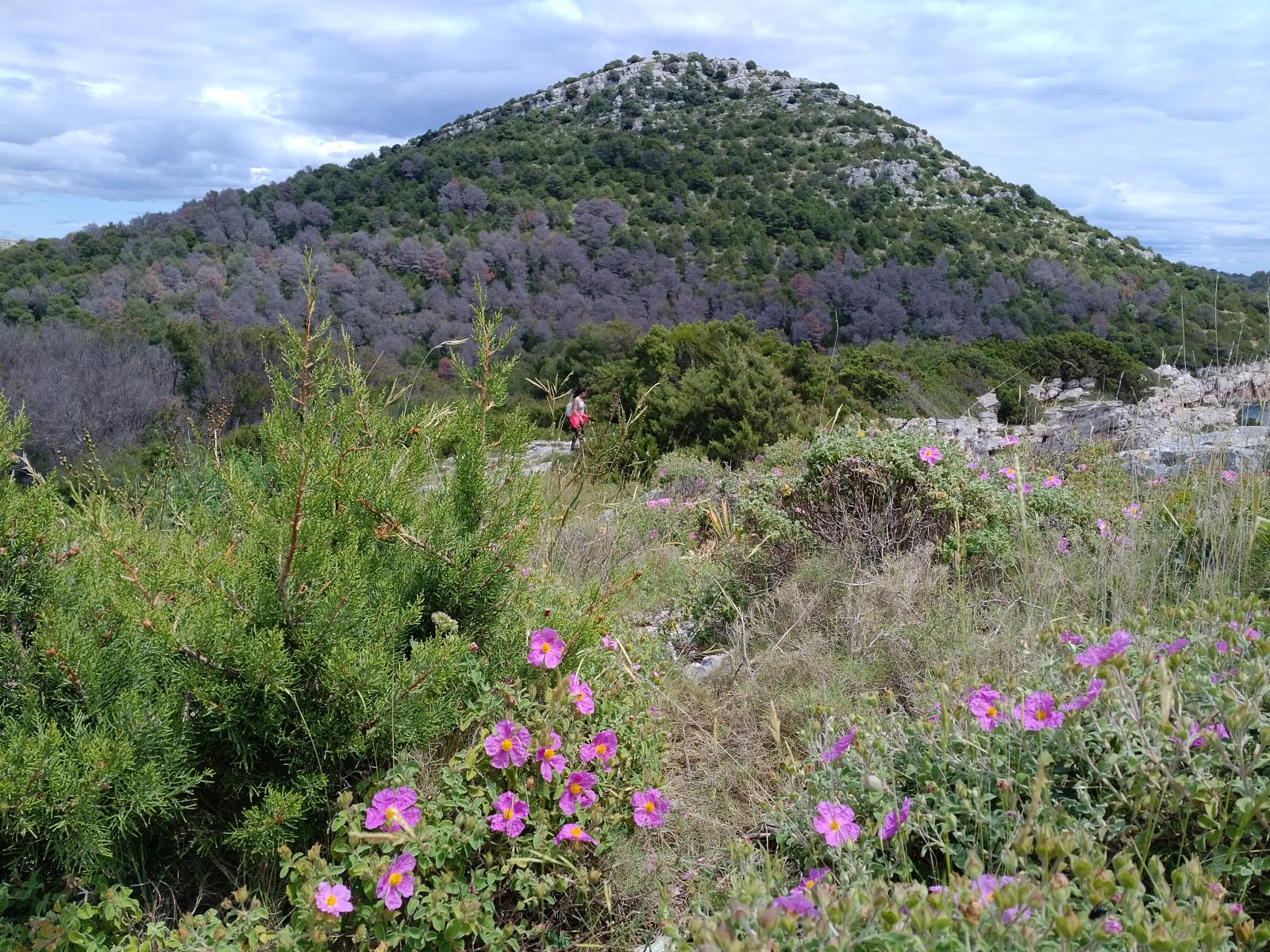 20190530_1340058.jpg