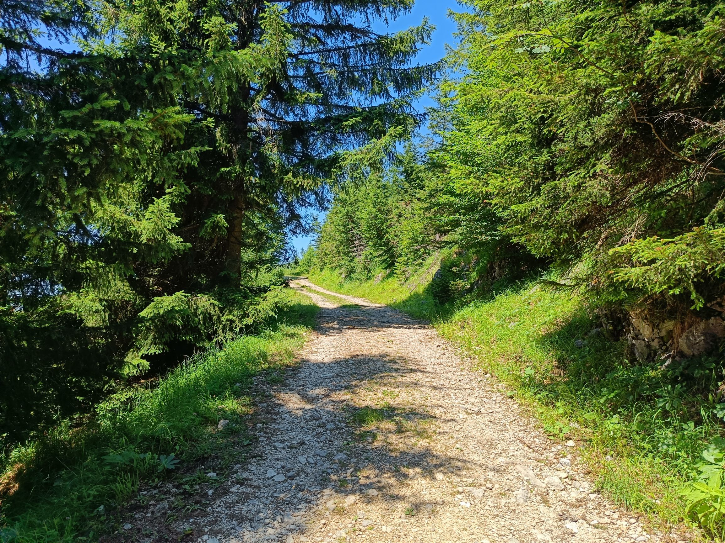 220703-135101.jpg