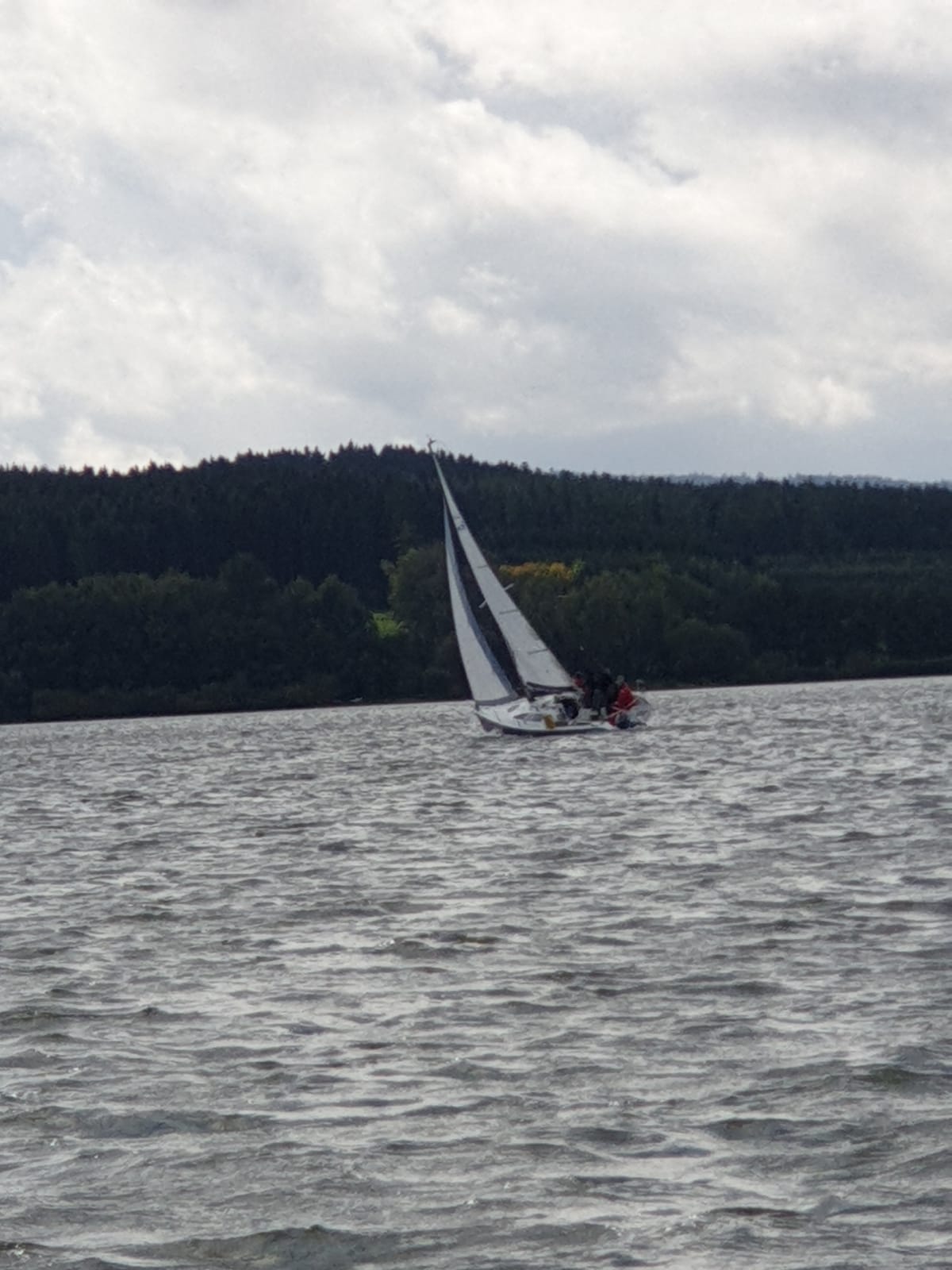 2eeca7ac-8ae6-41fd-8fd0-e5e6fe4e34c5.jpg