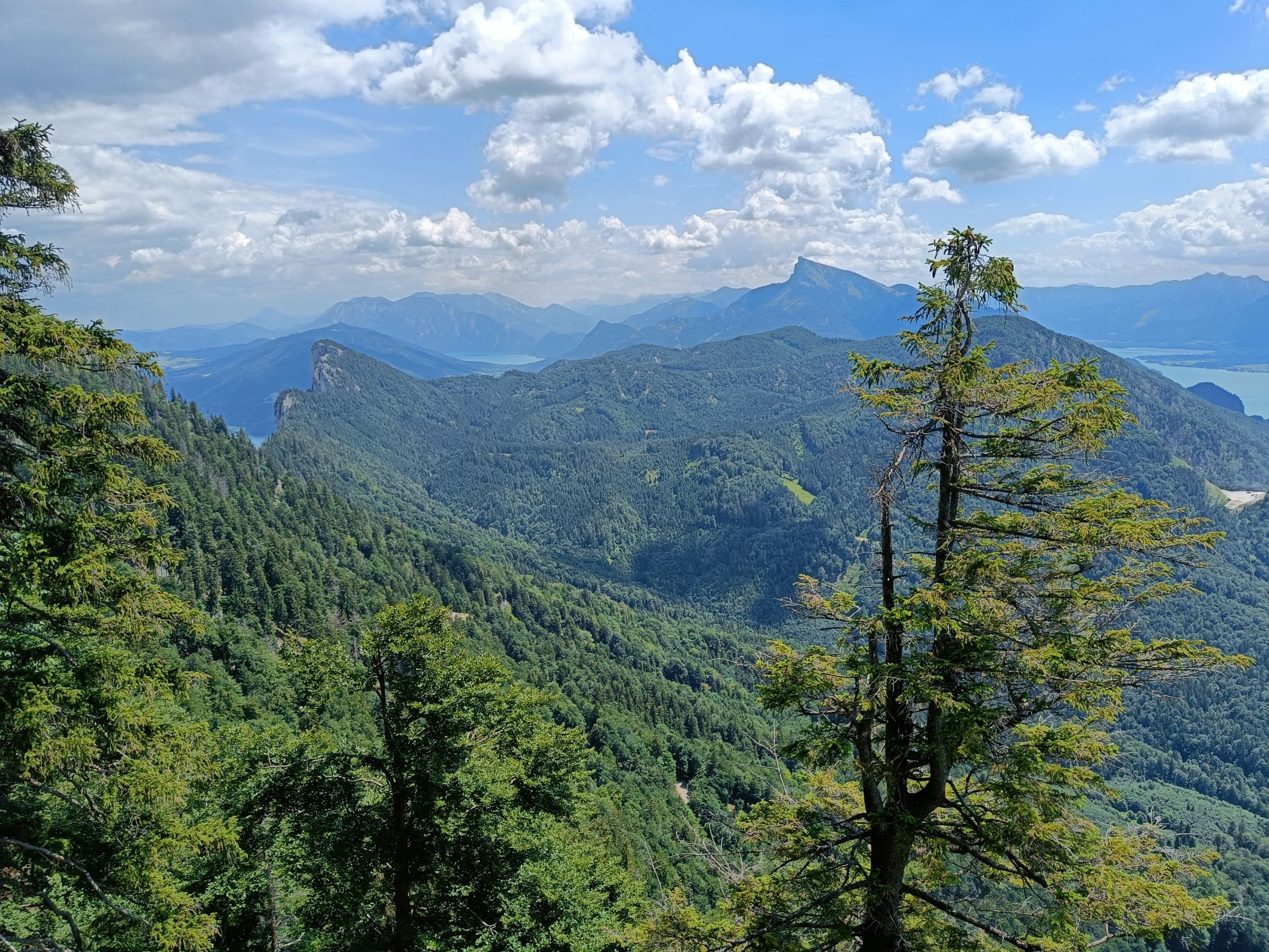 220706-124555.jpg