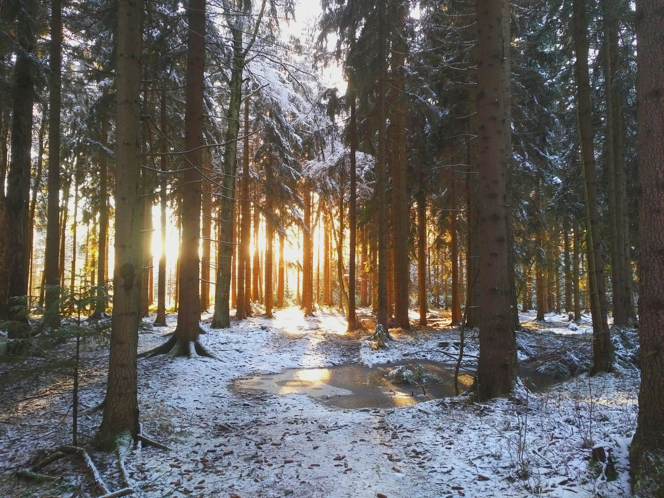 Vylet Krasnolipsko a Jested