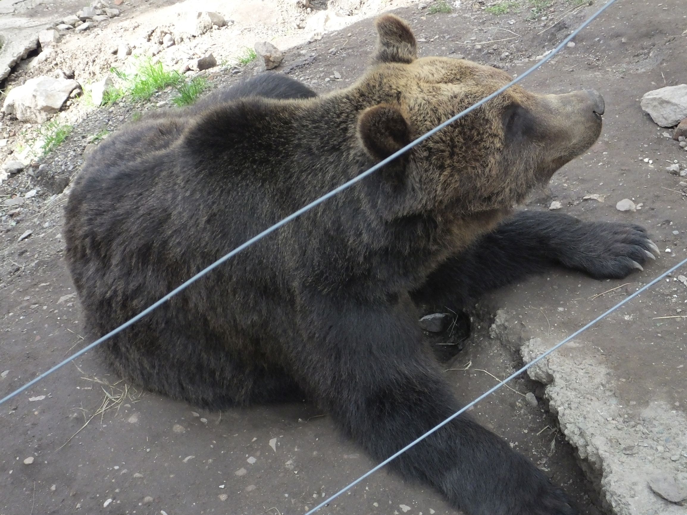 DSCF6809.JPG