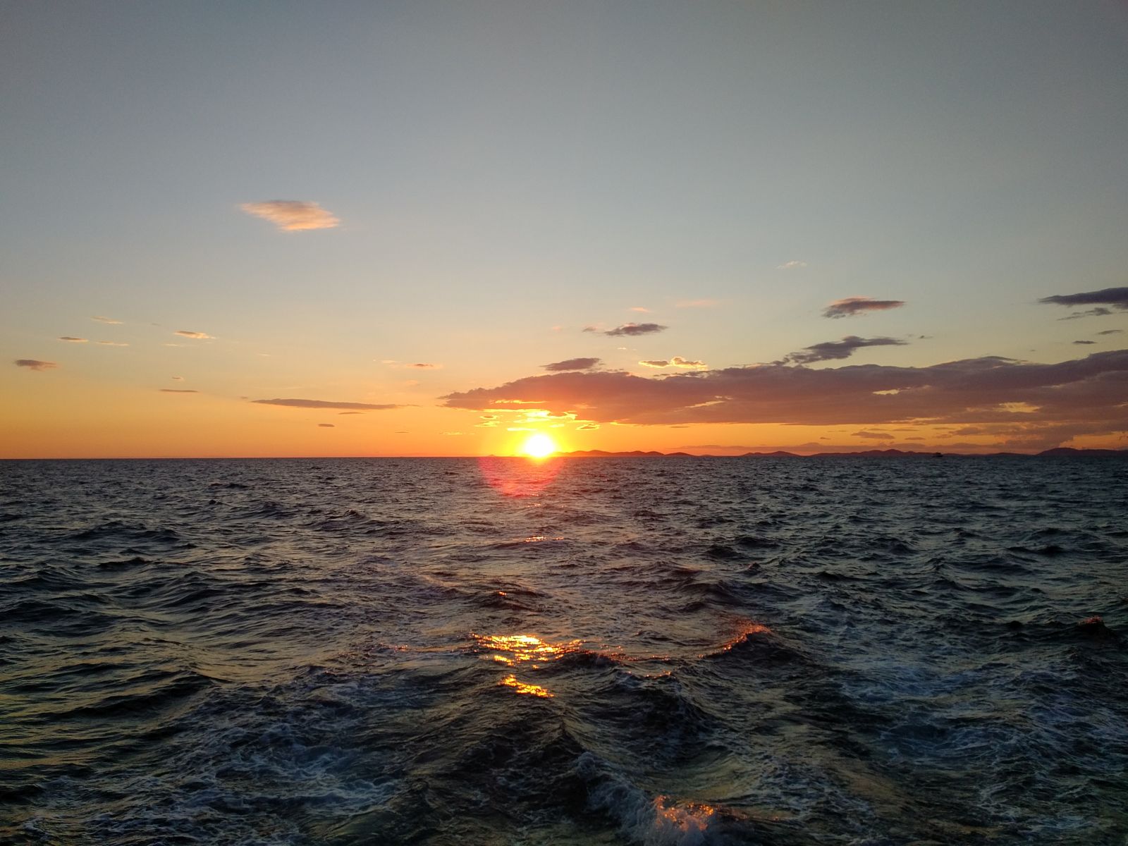 20190531_2024004.jpg