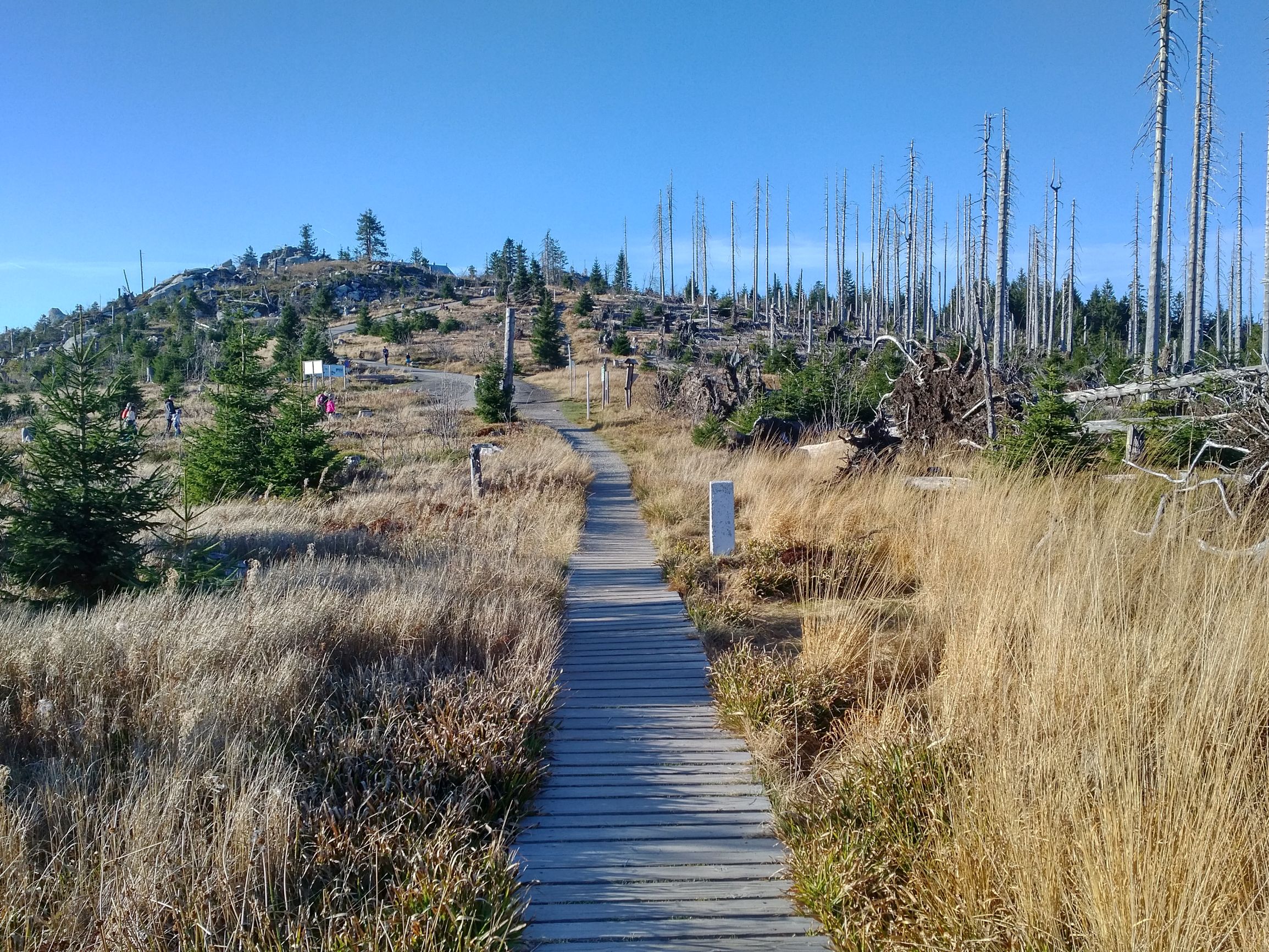 191026_1559337.jpg