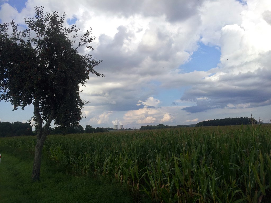 20140907_173002.jpg