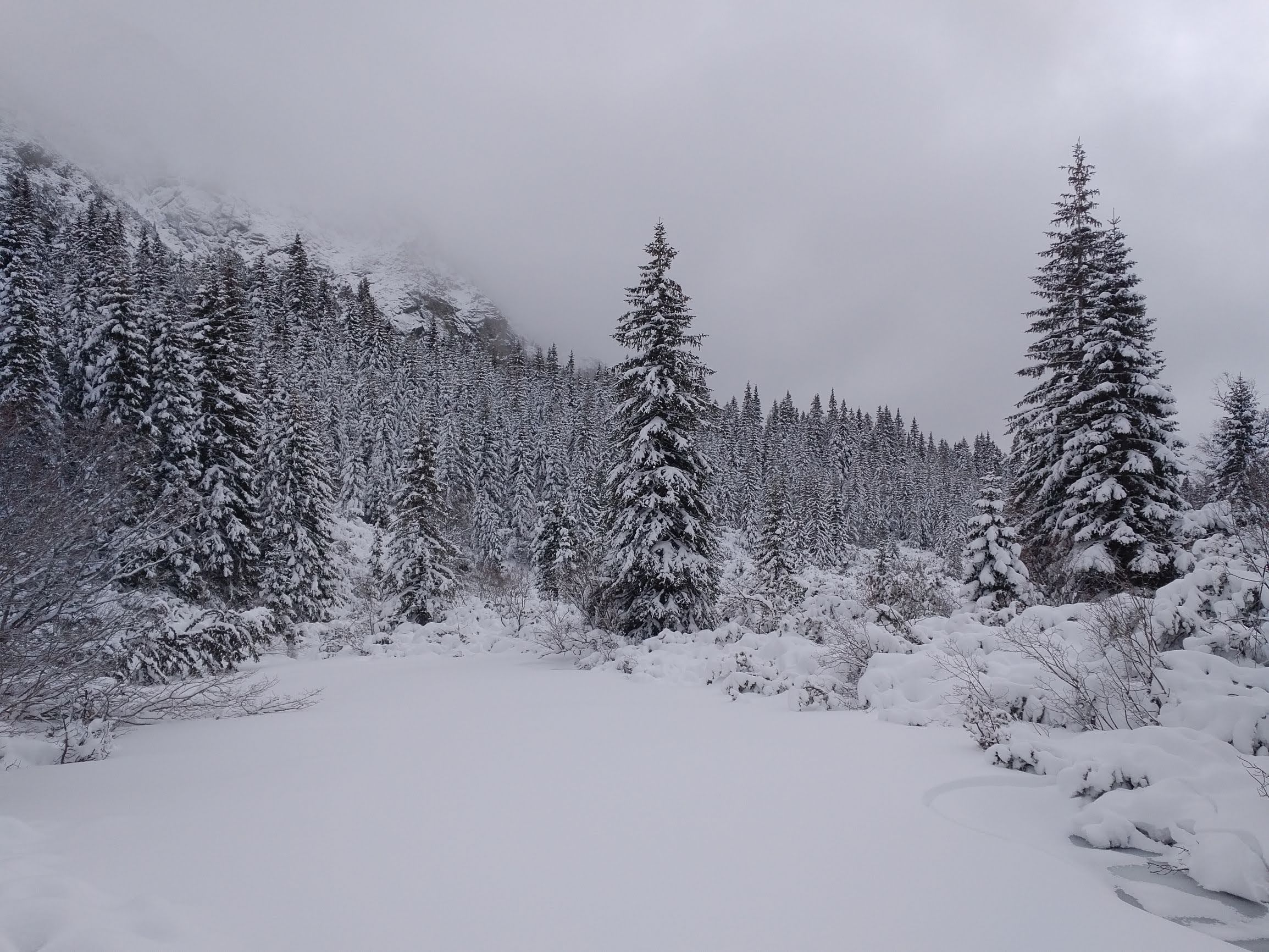 201231_120753.jpg