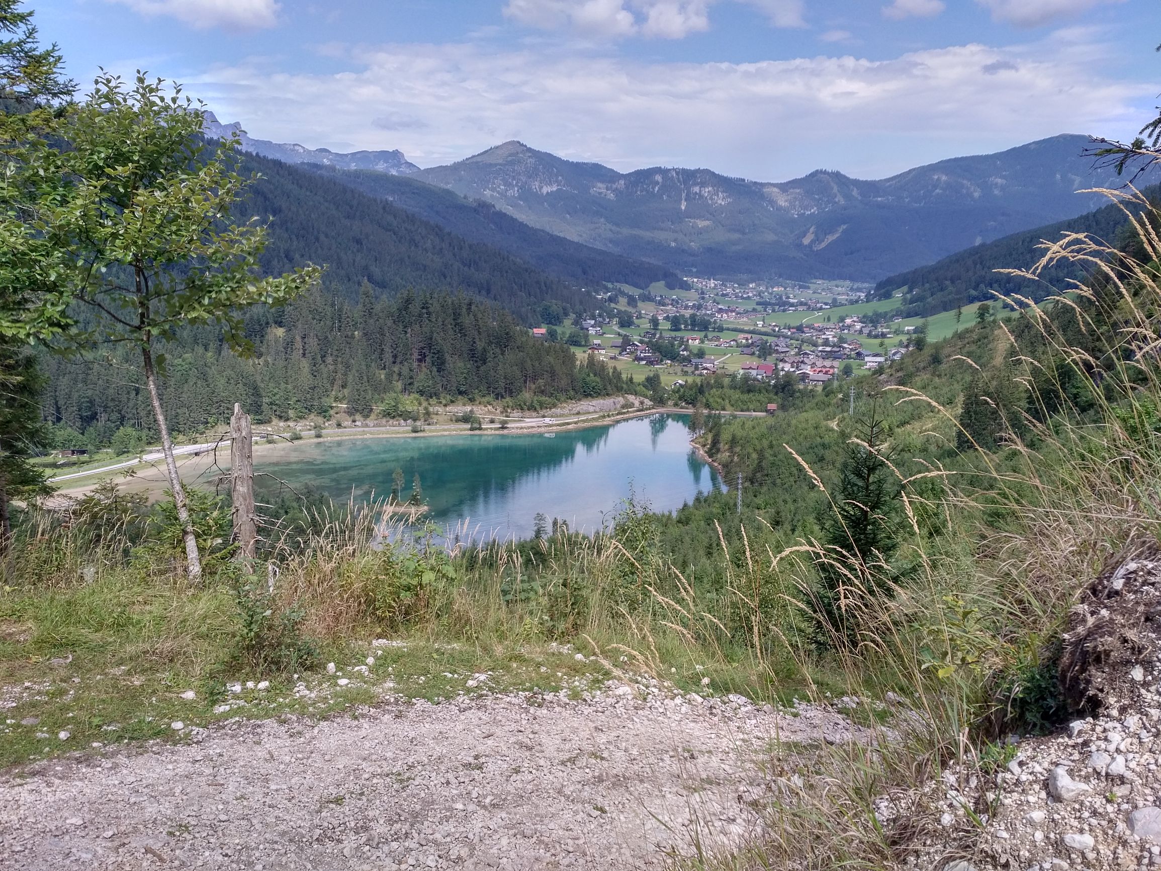 190901_1259140.jpg