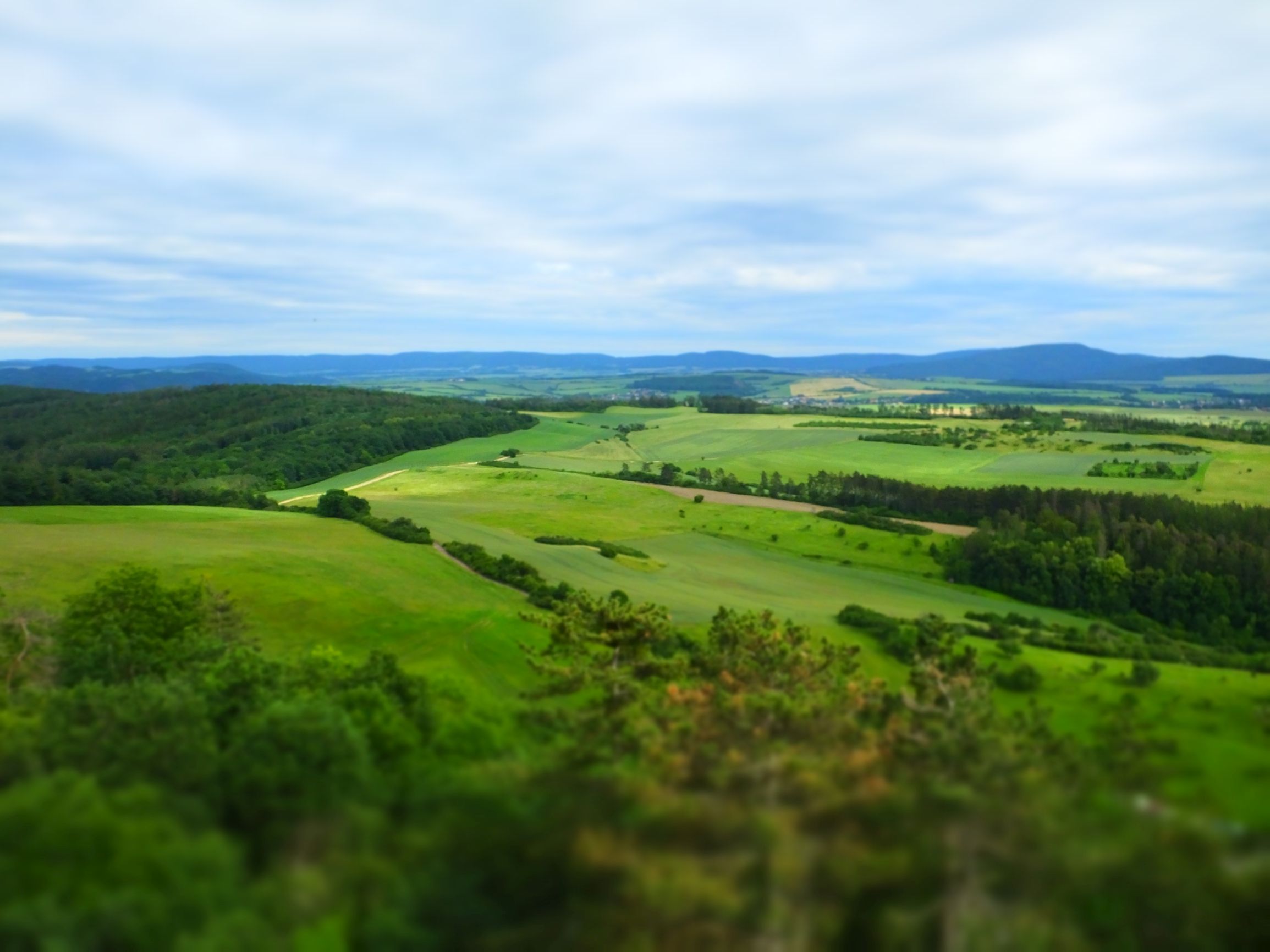DSCF6761.JPG