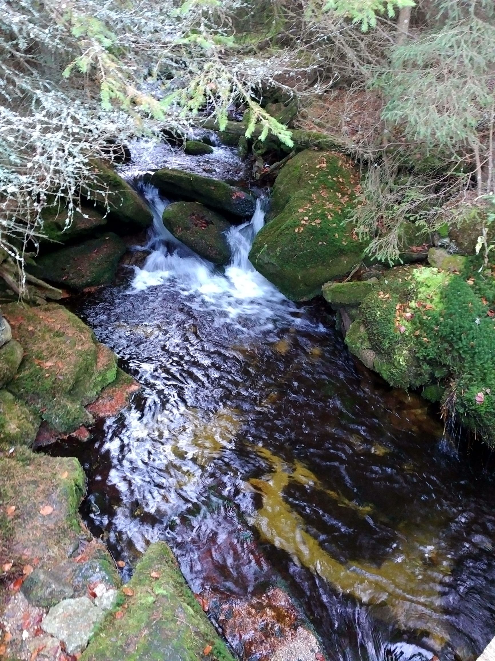 191026_1655078.jpg
