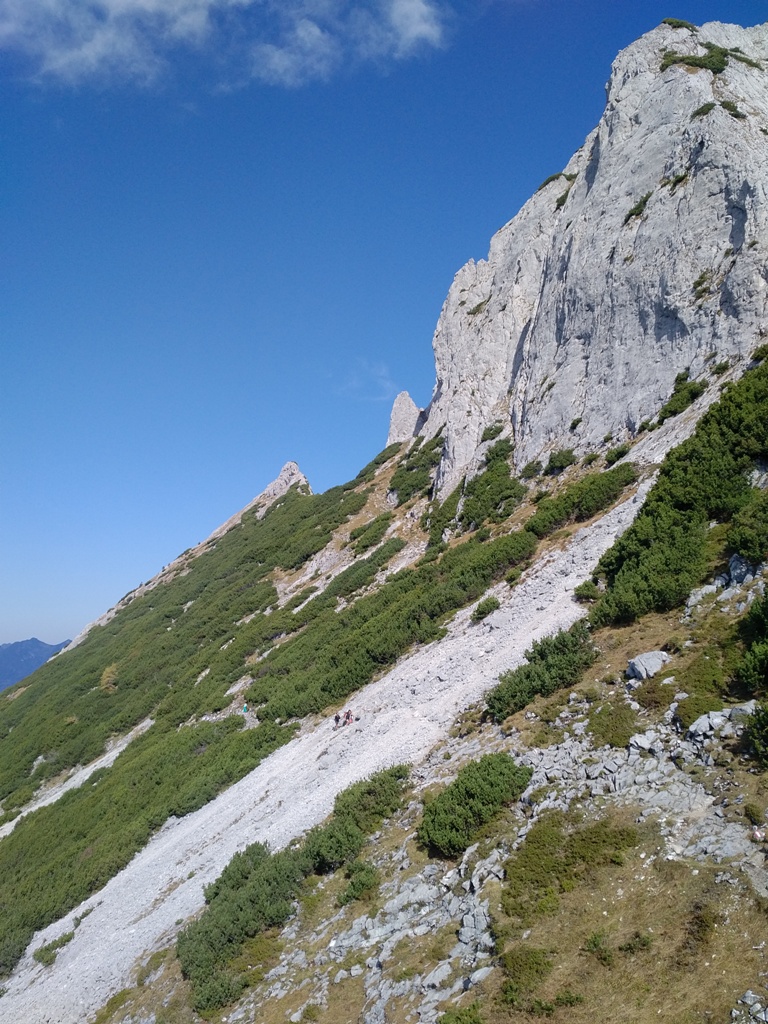 IMG (32).jpg