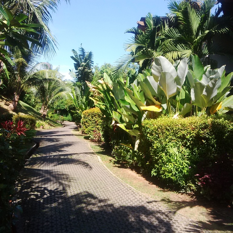 IMG_20151122_094736.jpg