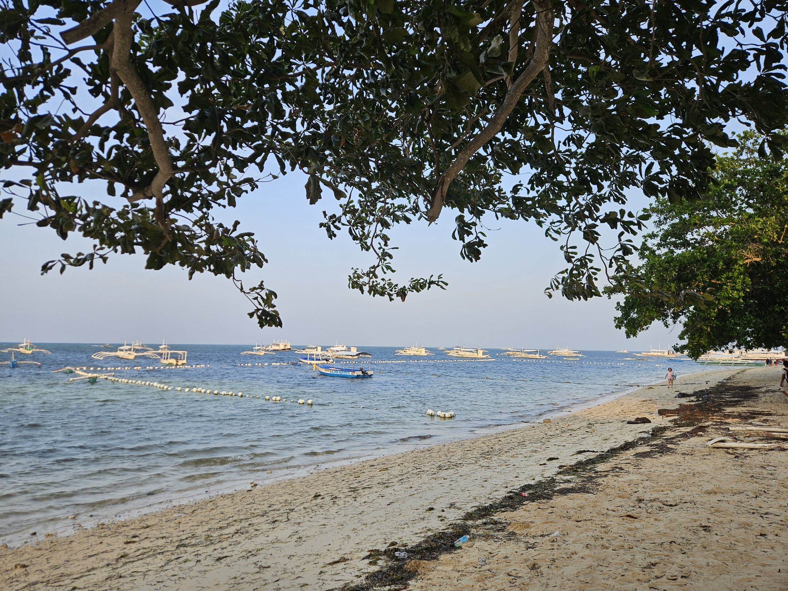 260905-061813.jpg