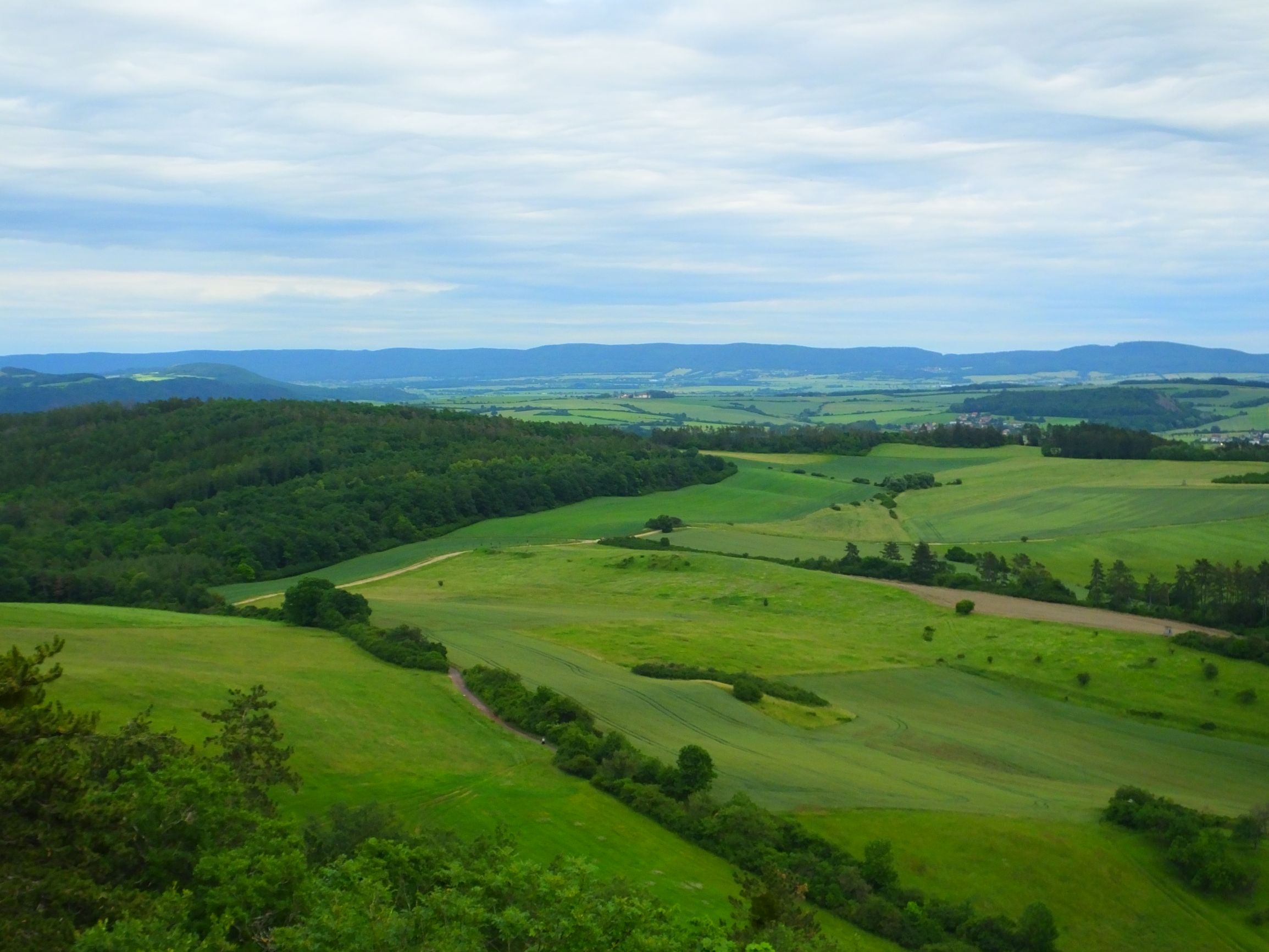 DSCF6787.JPG