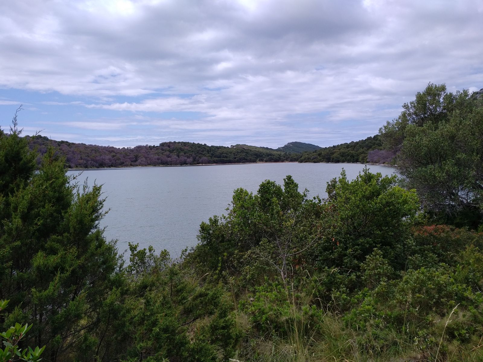 20190530_1403531.jpg